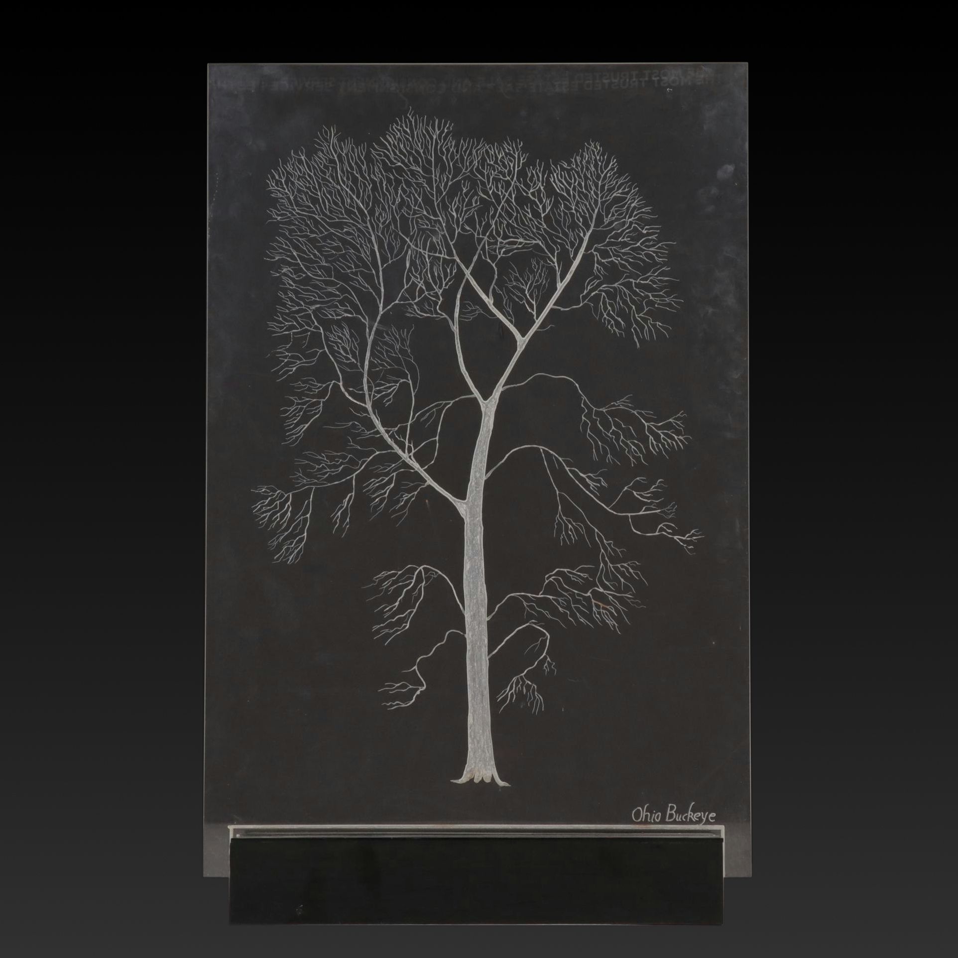 Handmade Illuminated Engraved Acrylic Panel of Tree "Ohio Buckeye," 1970s