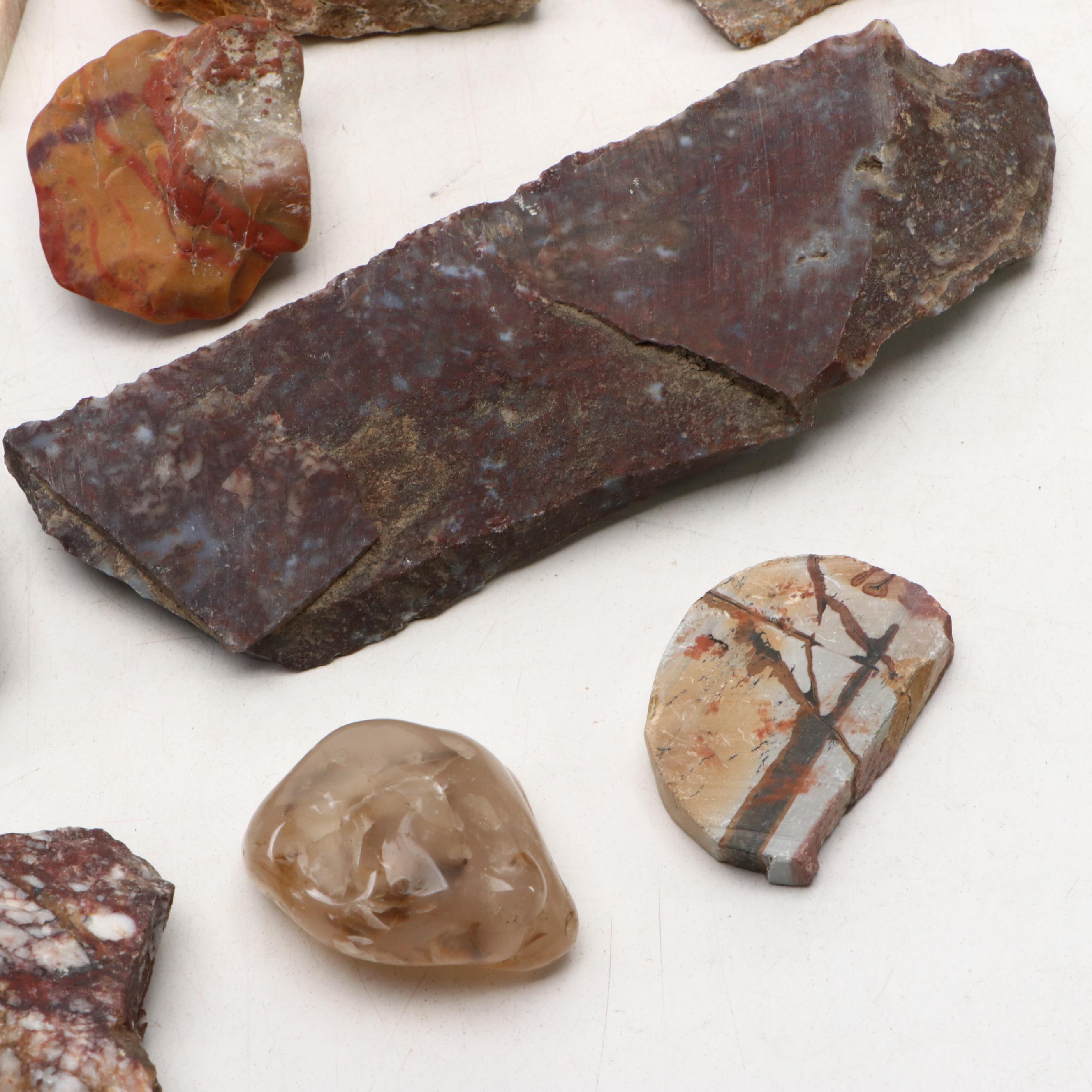 Polished Jasper and Marble Specimens with Fossilized Coral