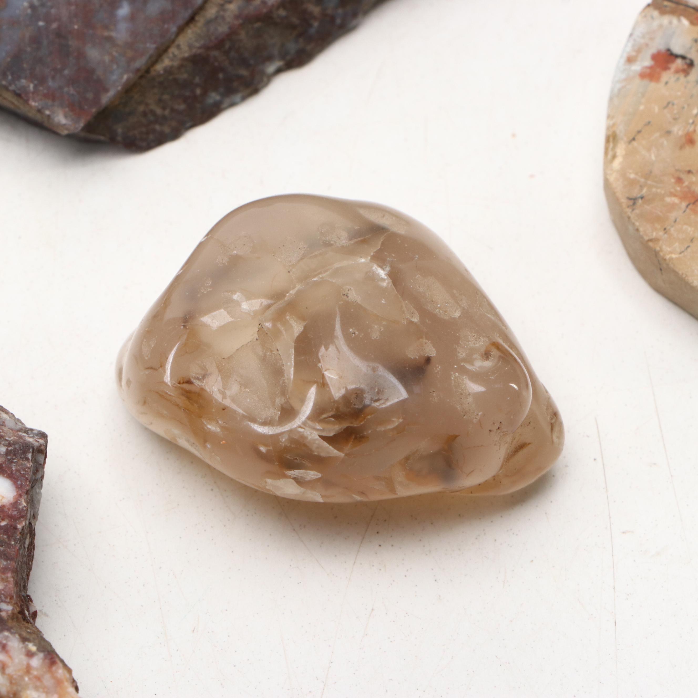 Polished Jasper and Marble Specimens with Fossilized Coral