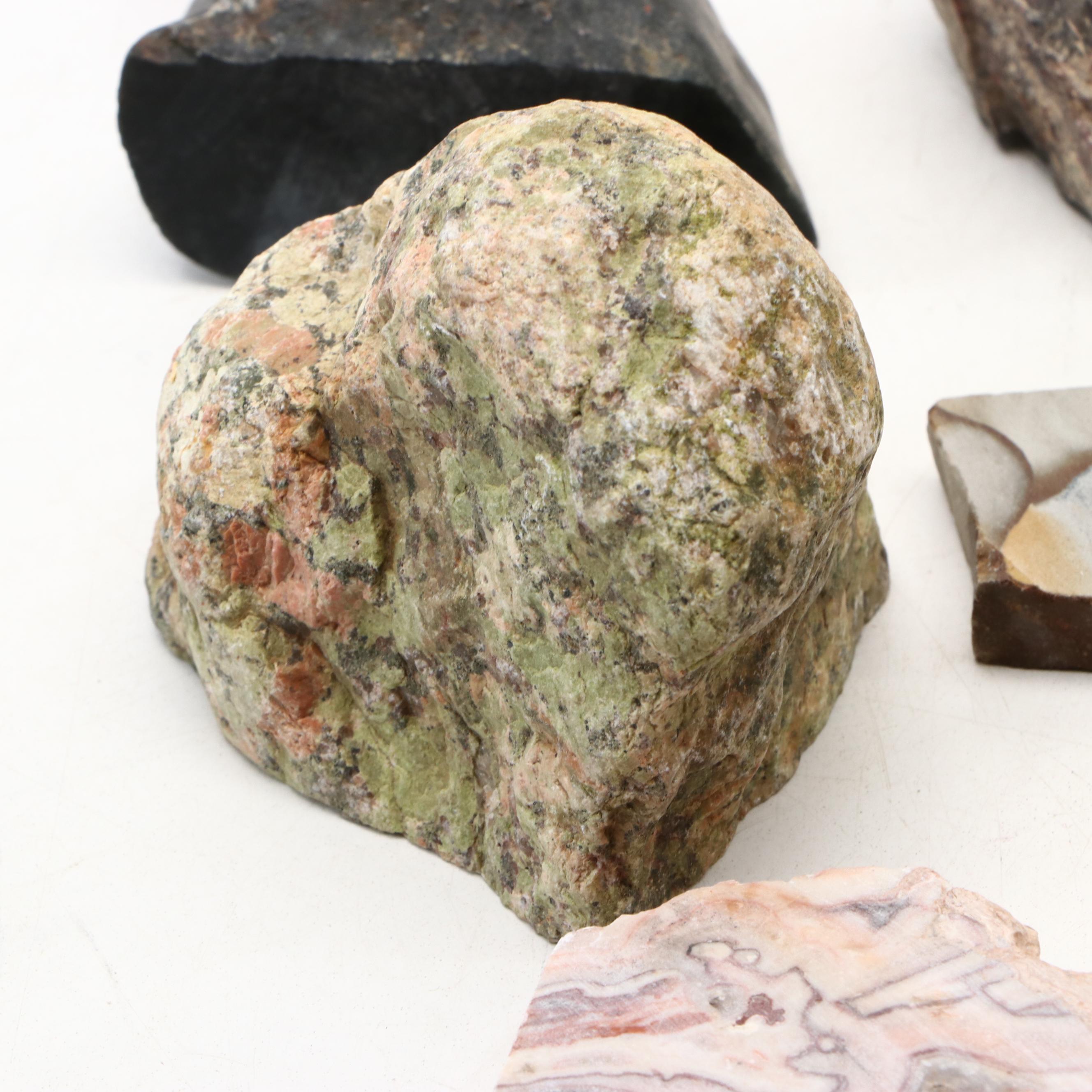 Polished Jasper and Marble Specimens with Fossilized Coral