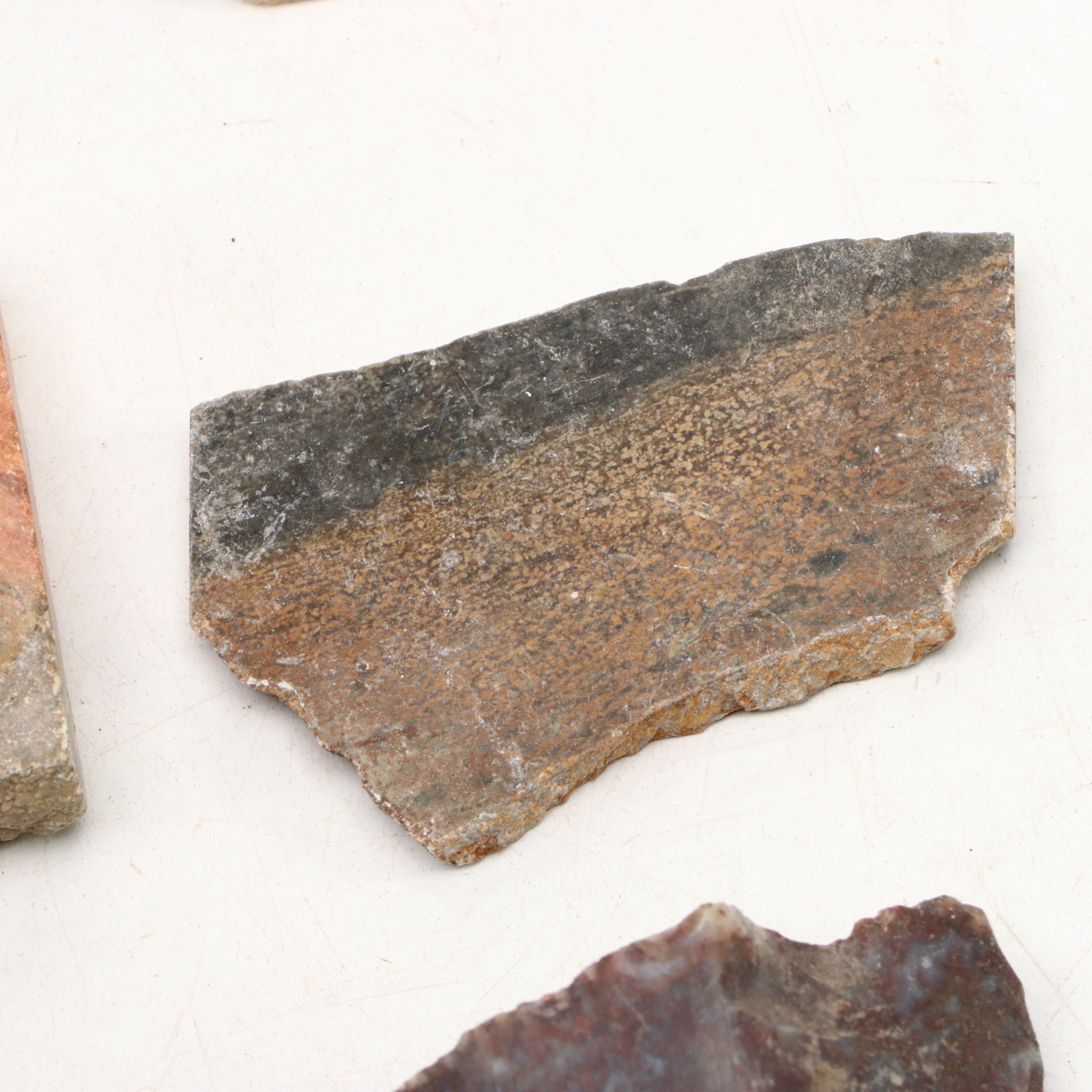 Polished Jasper and Marble Specimens with Fossilized Coral
