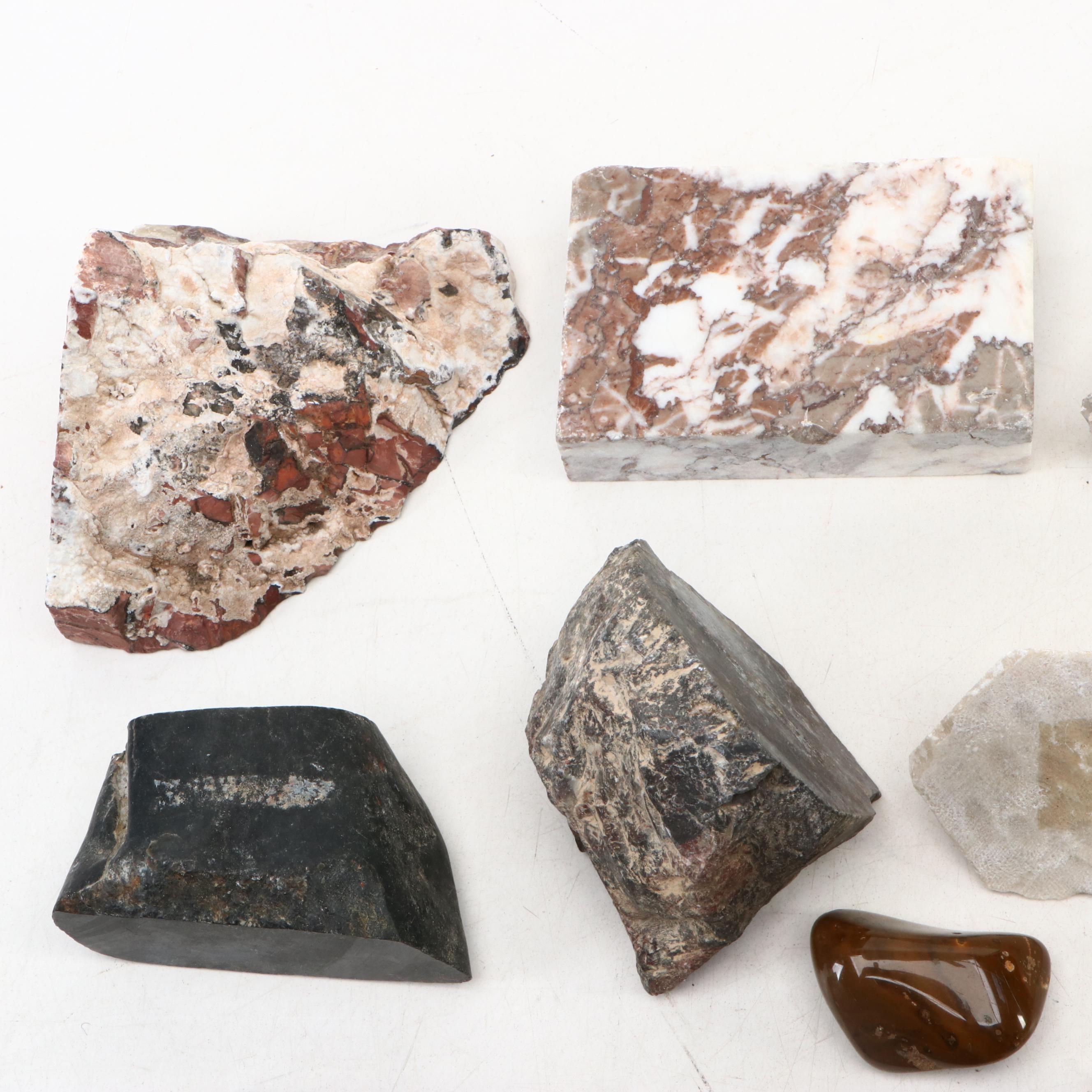 Polished Jasper and Marble Specimens with Fossilized Coral