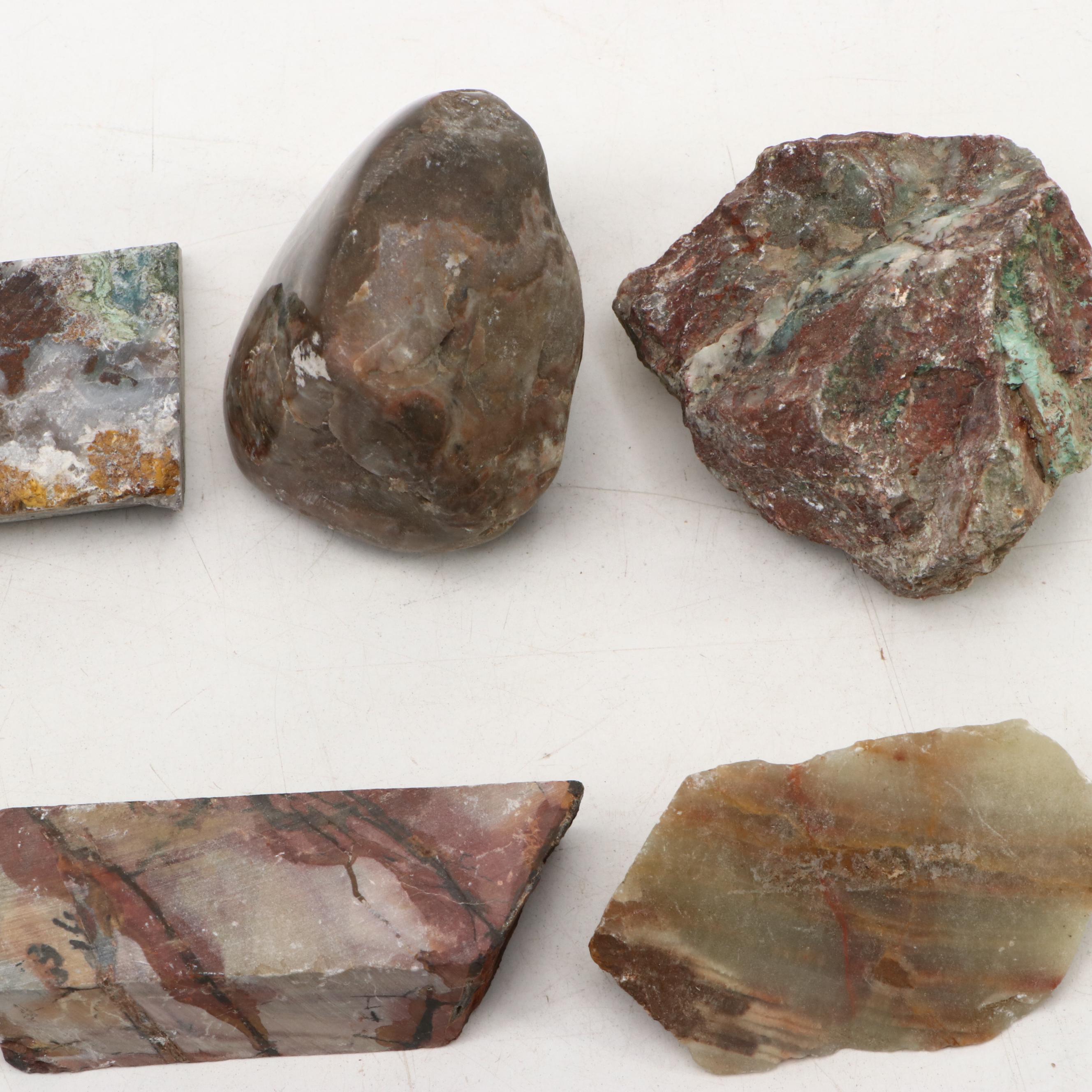 Polished Jasper and Marble Specimens with Fossilized Coral