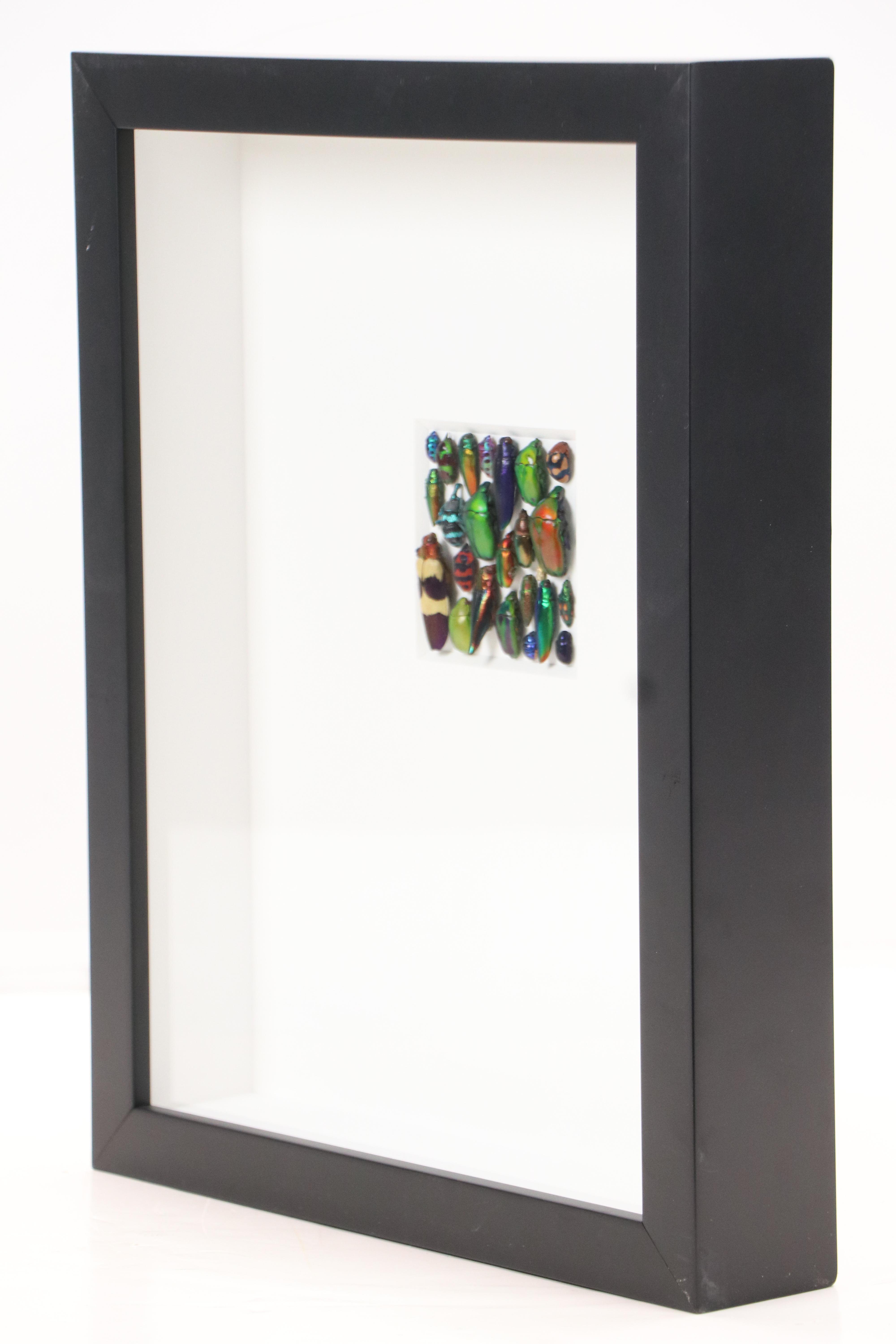 Pheromone by Christopher Marley Beetle Mosaic