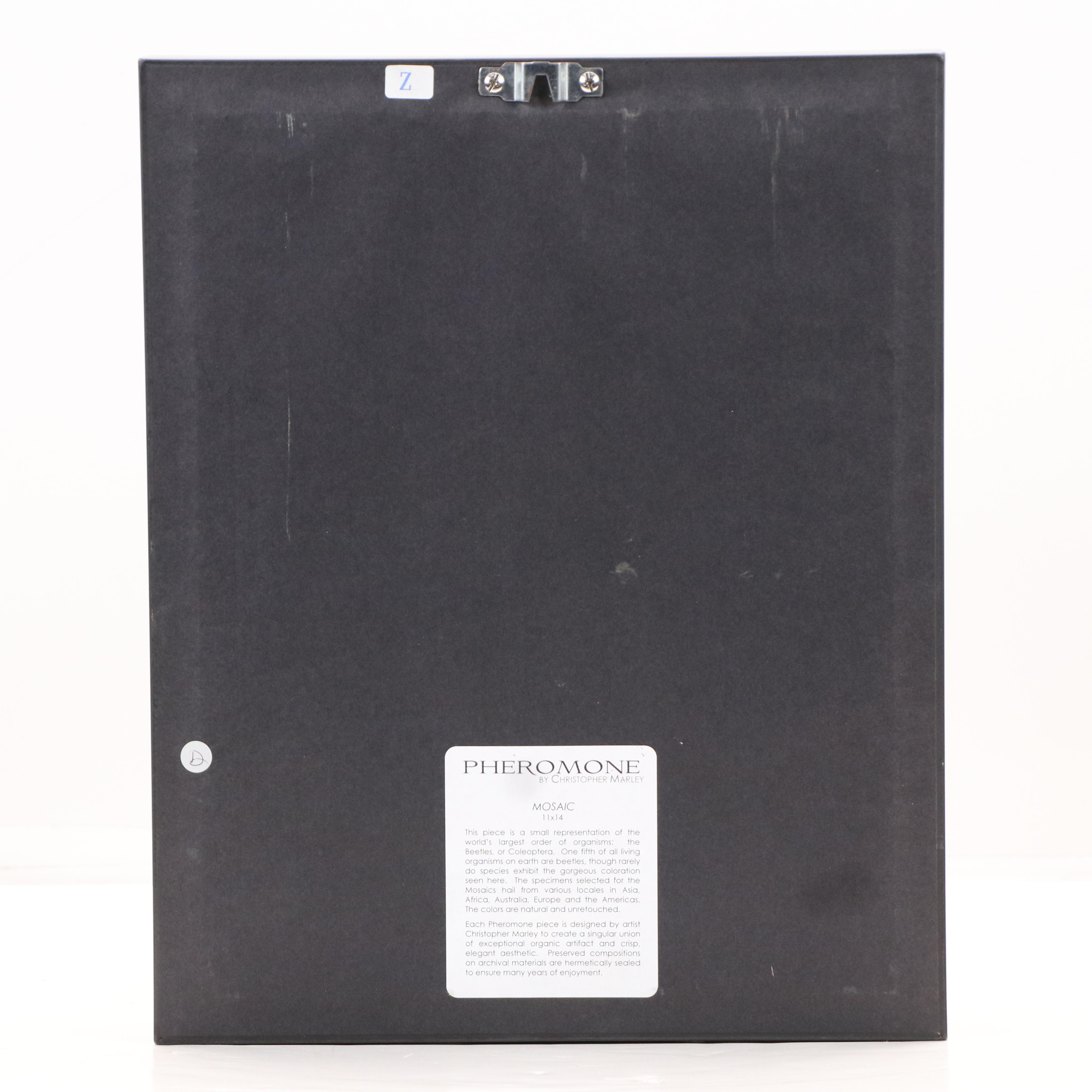 Pheromone by Christopher Marley Beetle Mosaic