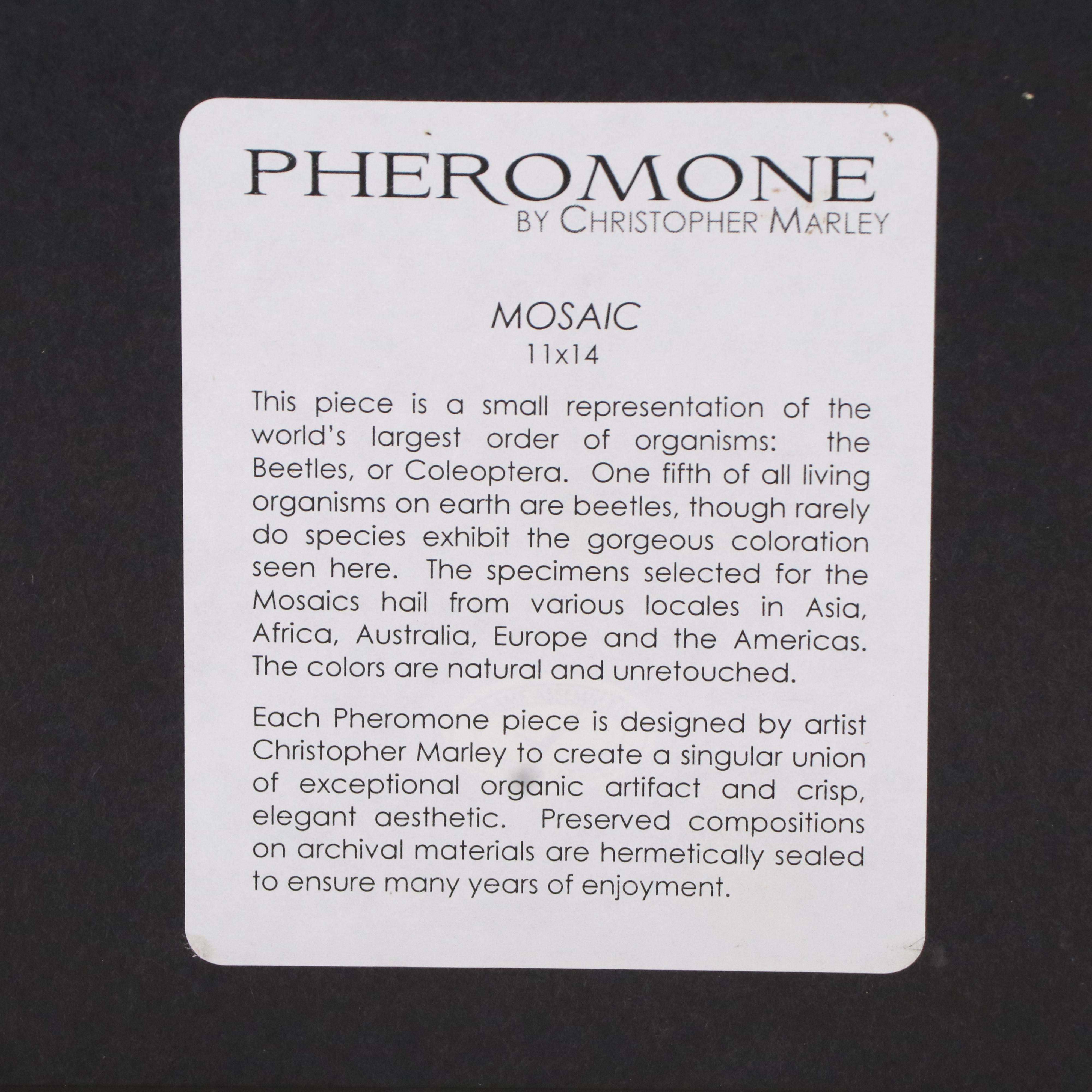 Pheromone by Christopher Marley Beetle Mosaic