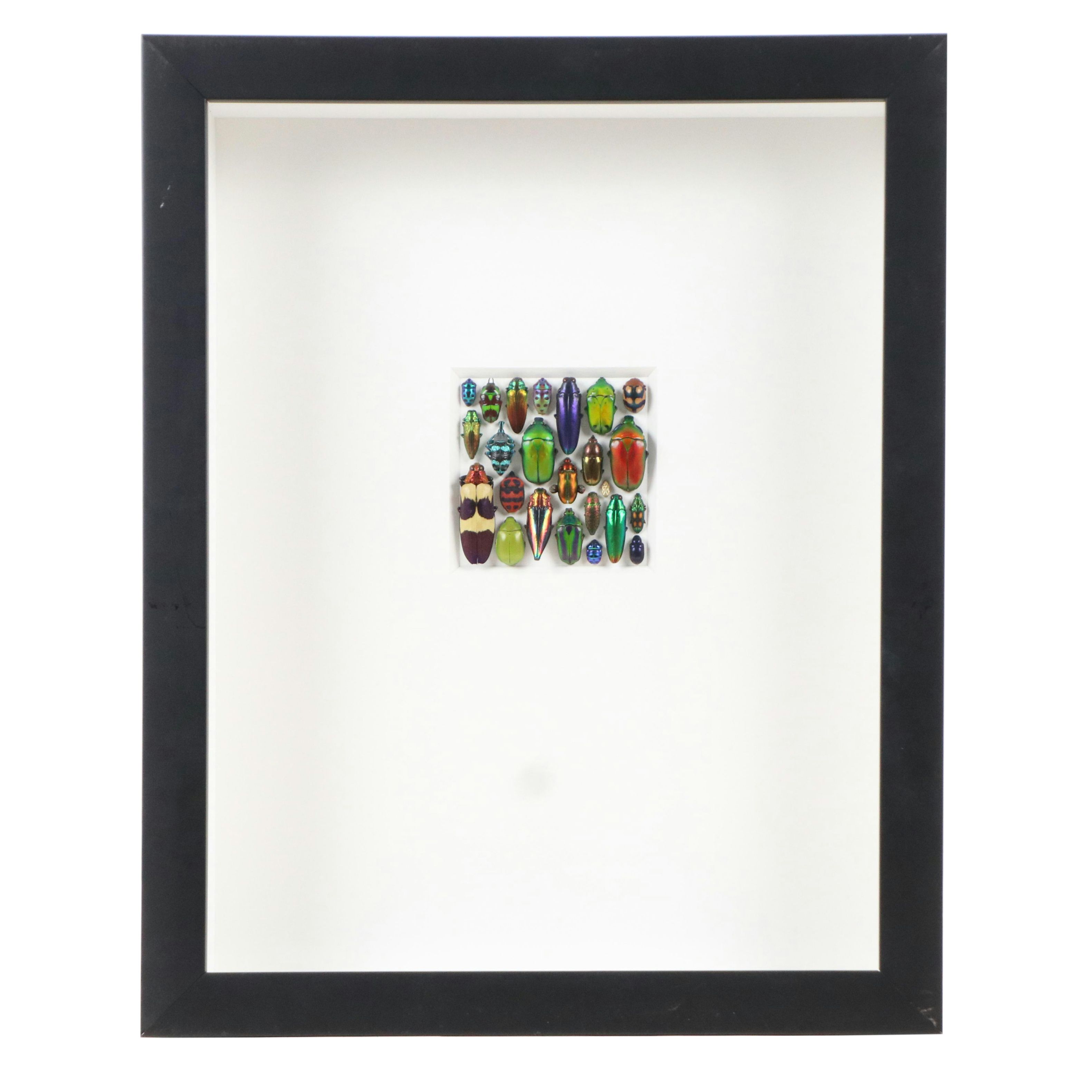 Pheromone by Christopher Marley Beetle Mosaic