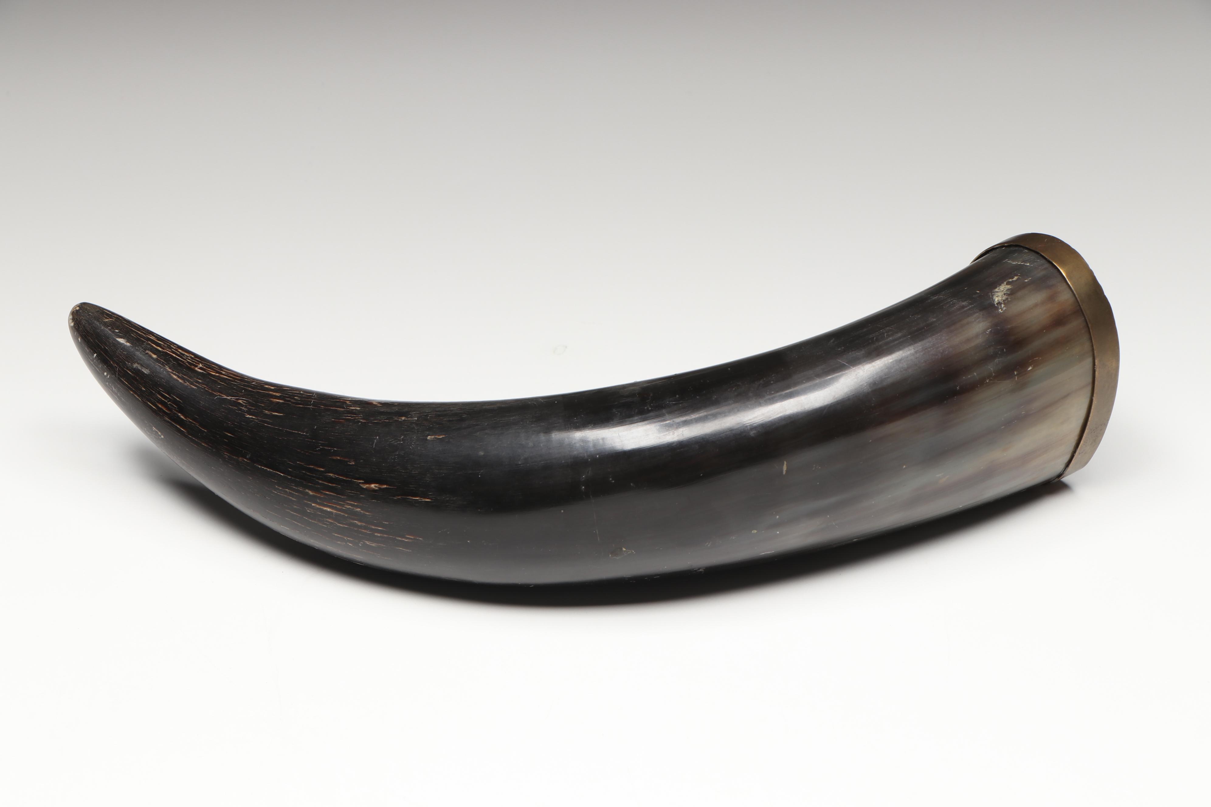 Cattle Horn Handled Magnifying Glass with Other Decorative Horn