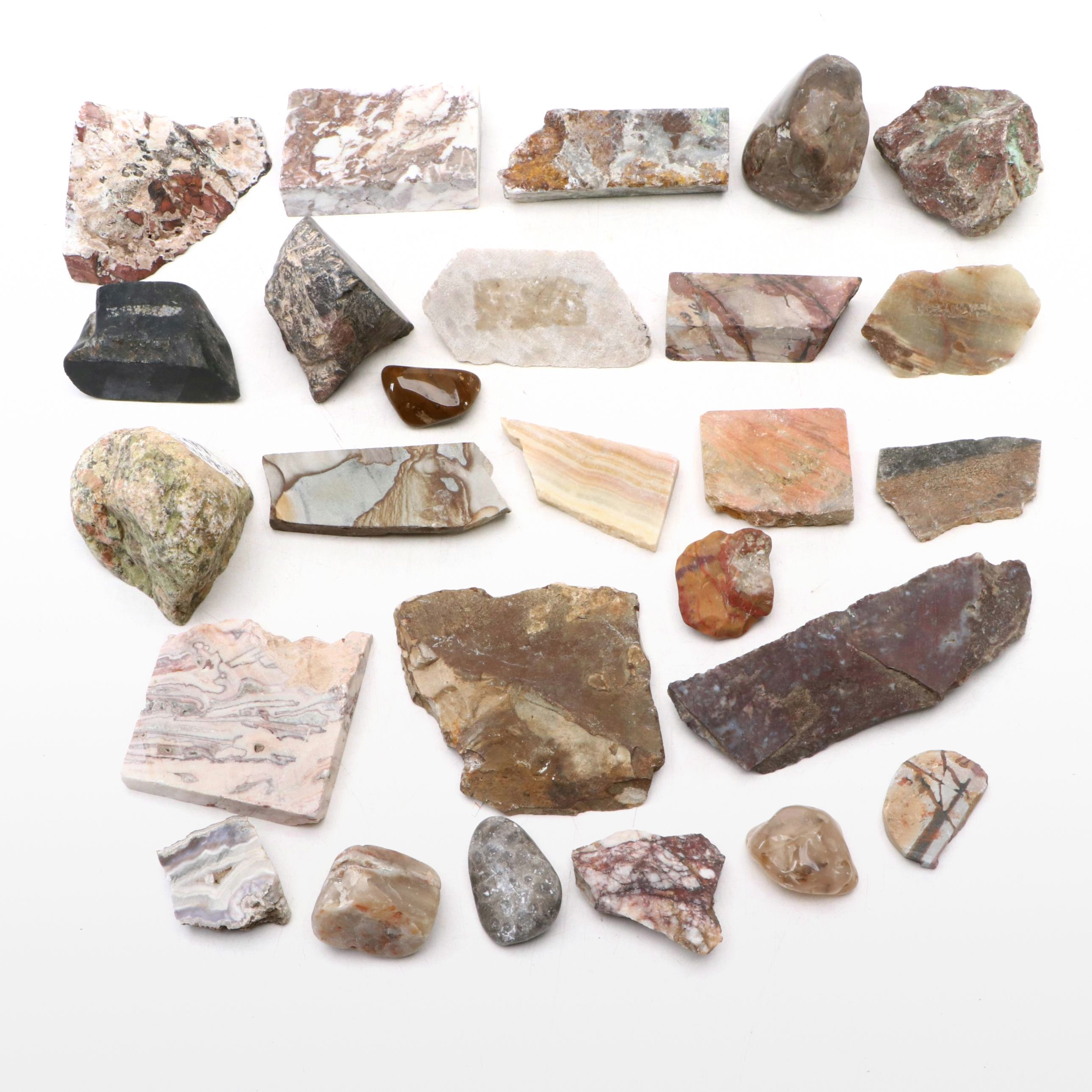 Polished Jasper and Marble Specimens with Fossilized Coral