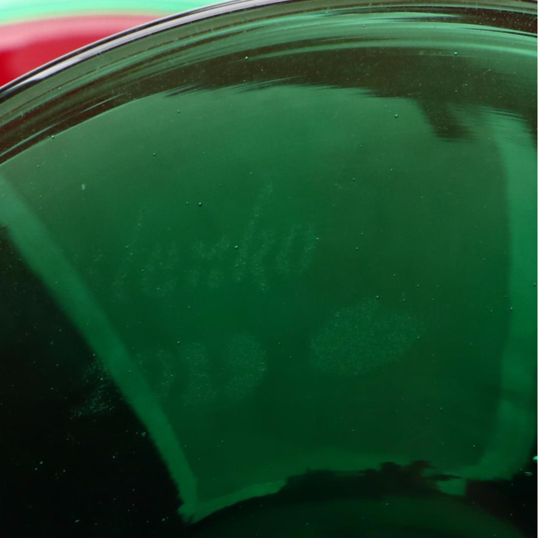 Blenko "Poinsettia" Green and Red Footed Glass Vase