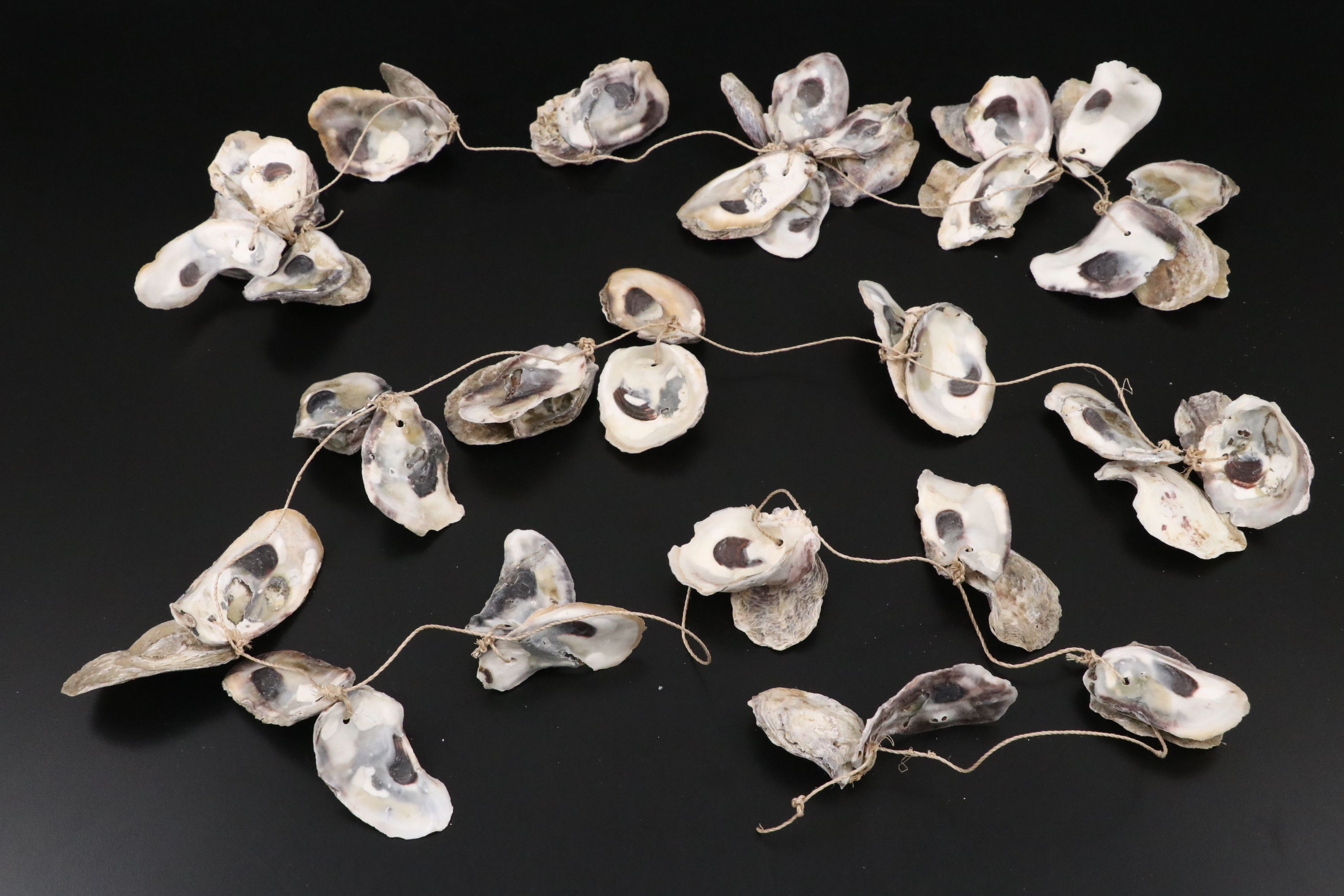 Pair of Giant Clam Shells with Strung Oyster Shells