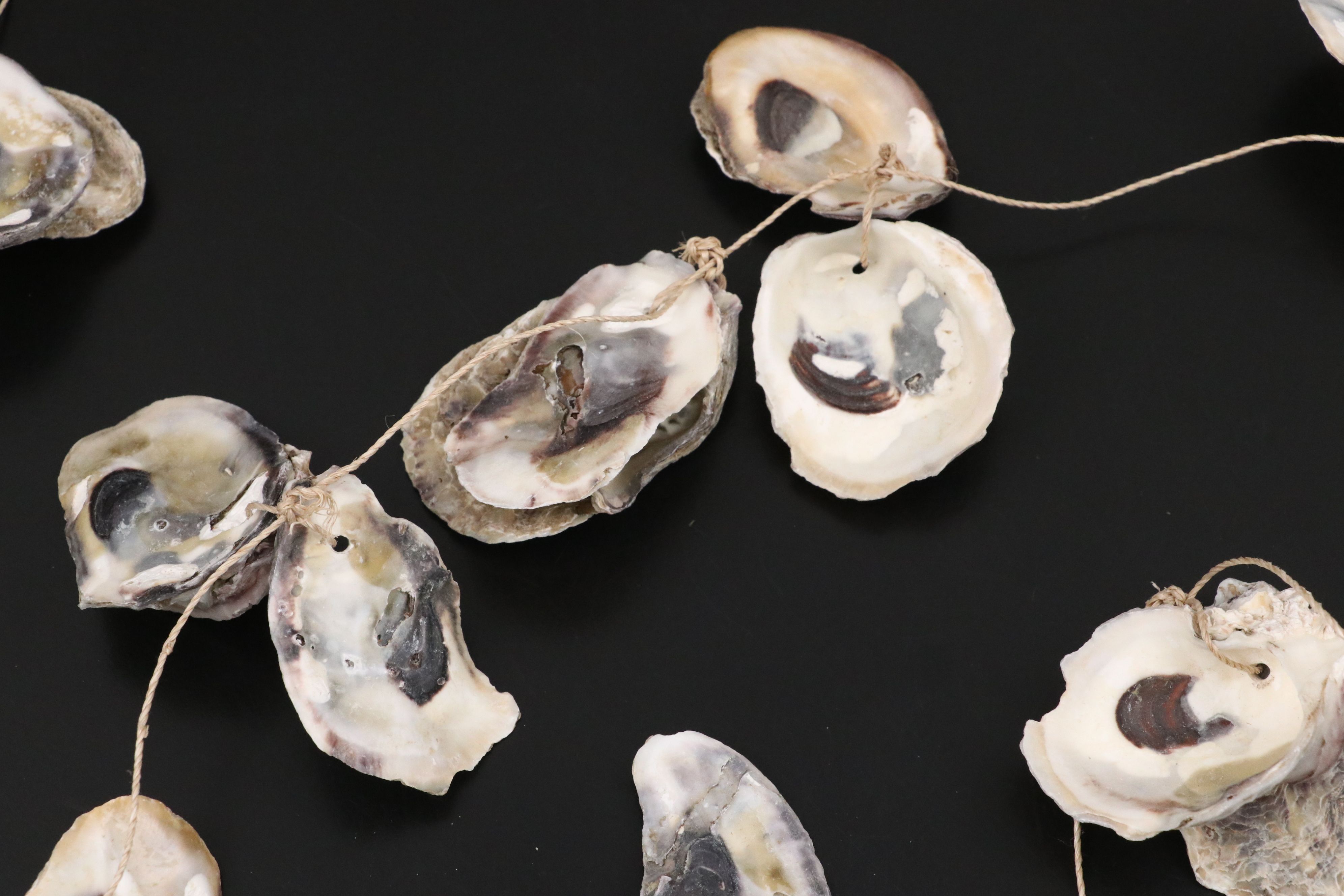 Pair of Giant Clam Shells with Strung Oyster Shells