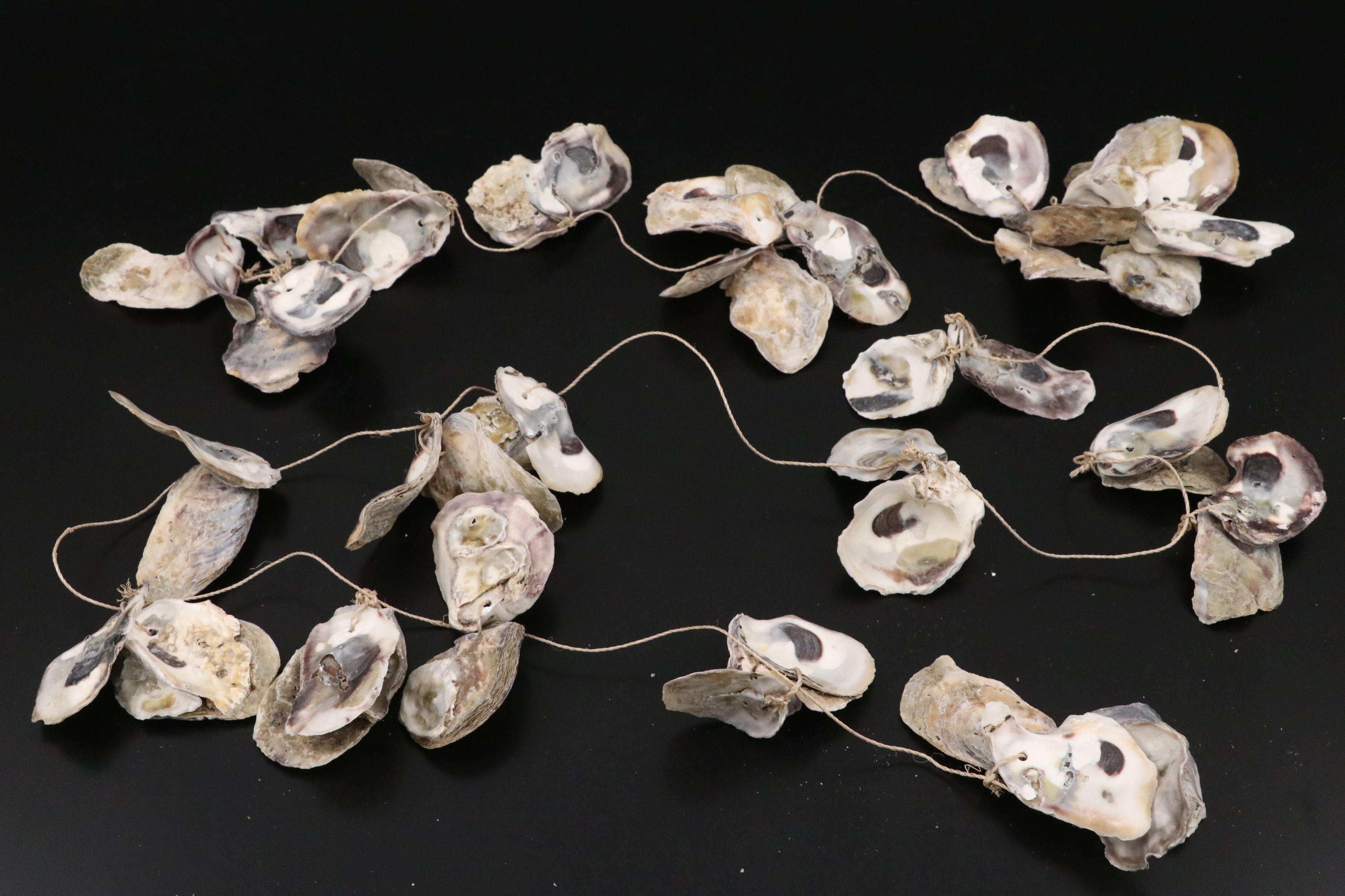 Pair of Giant Clam Shells with Strung Oyster Shells