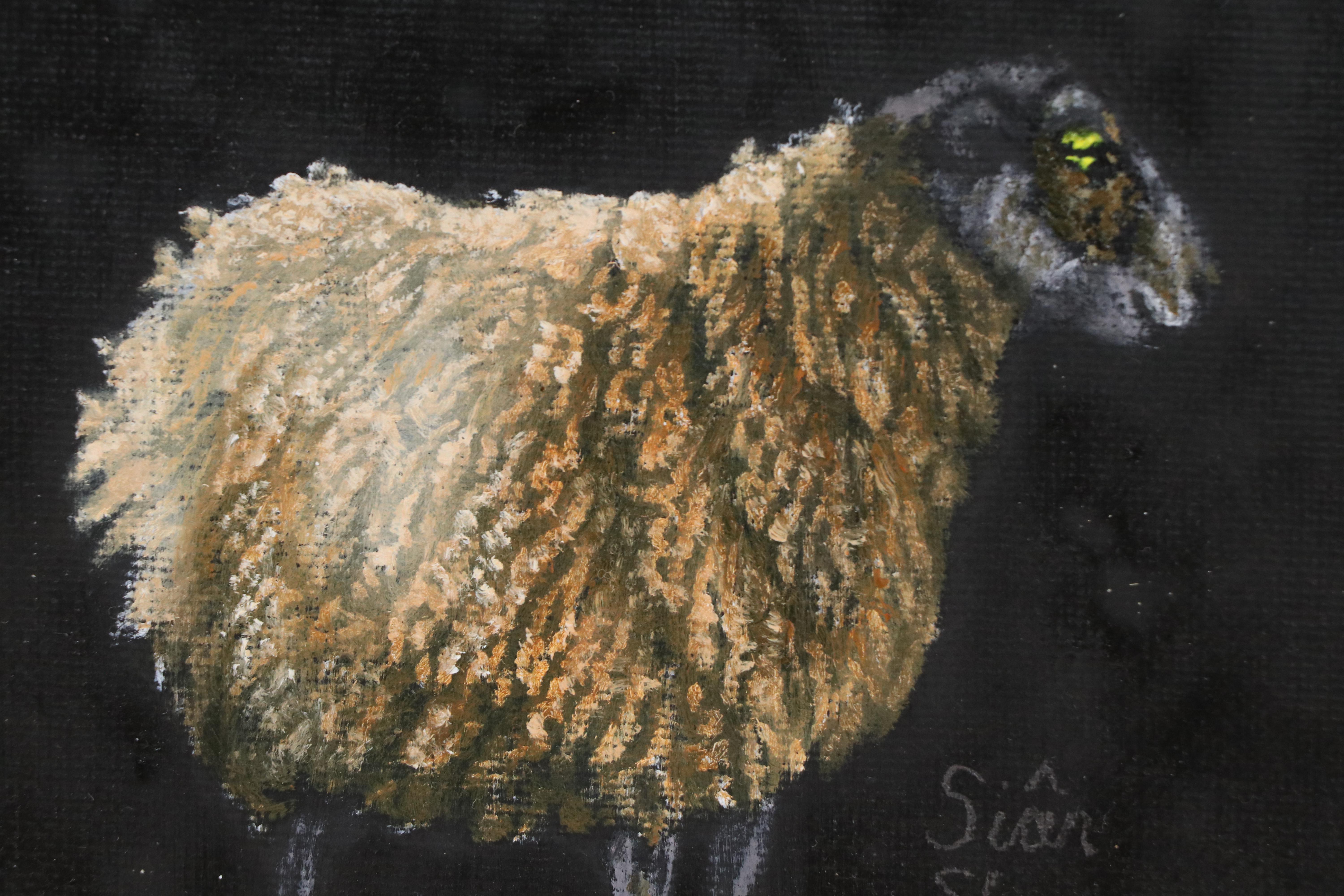 Siân Sloman Oil Painting of a Sheep, 2025