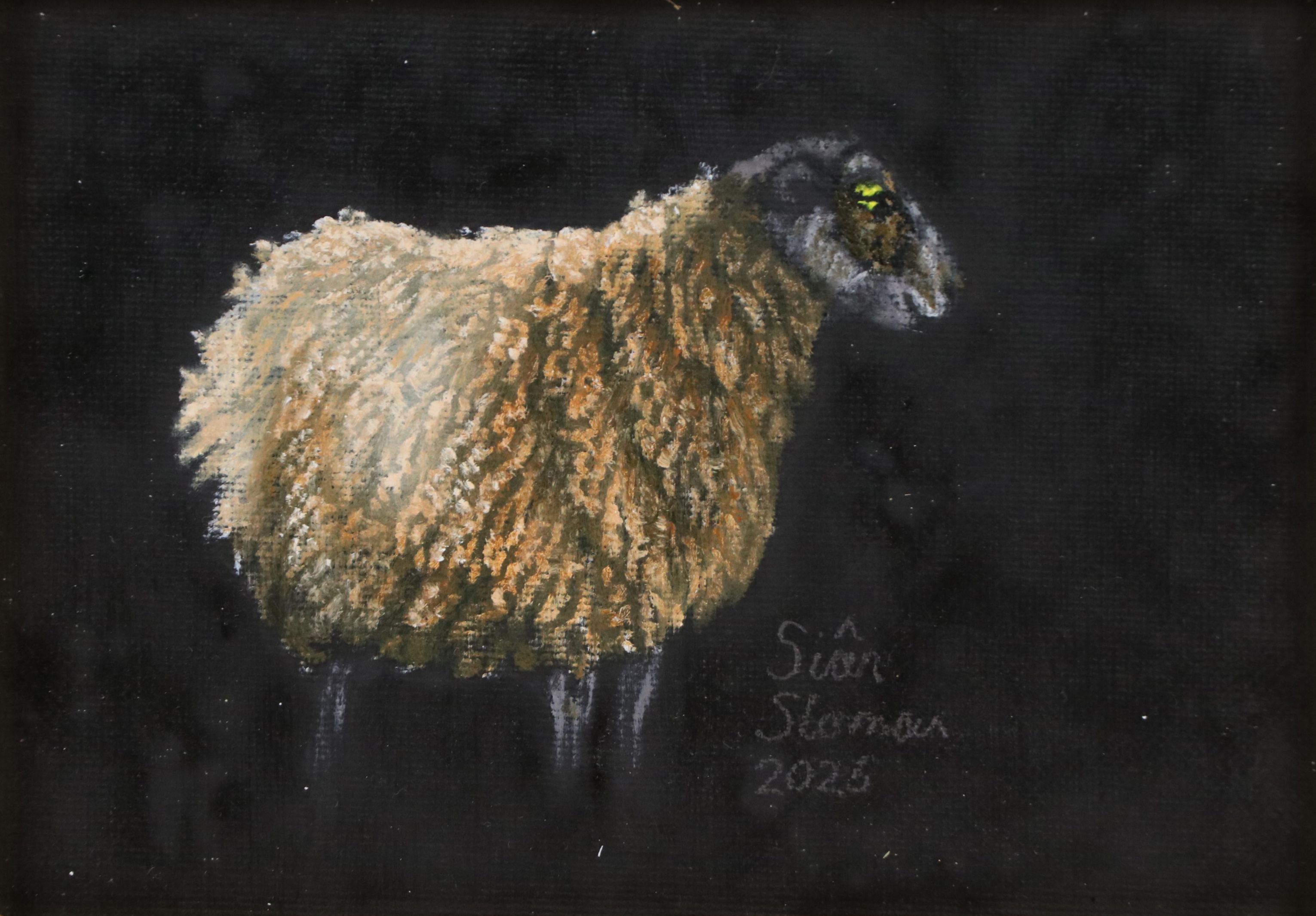 Siân Sloman Oil Painting of a Sheep, 2025