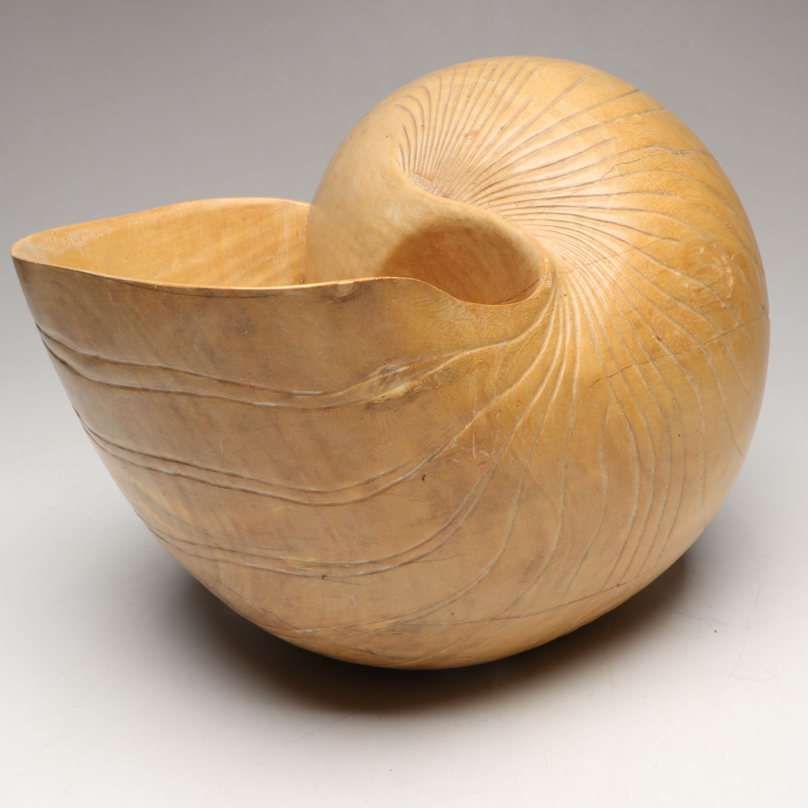 Carved Wooden Seashell Decorative Bowl