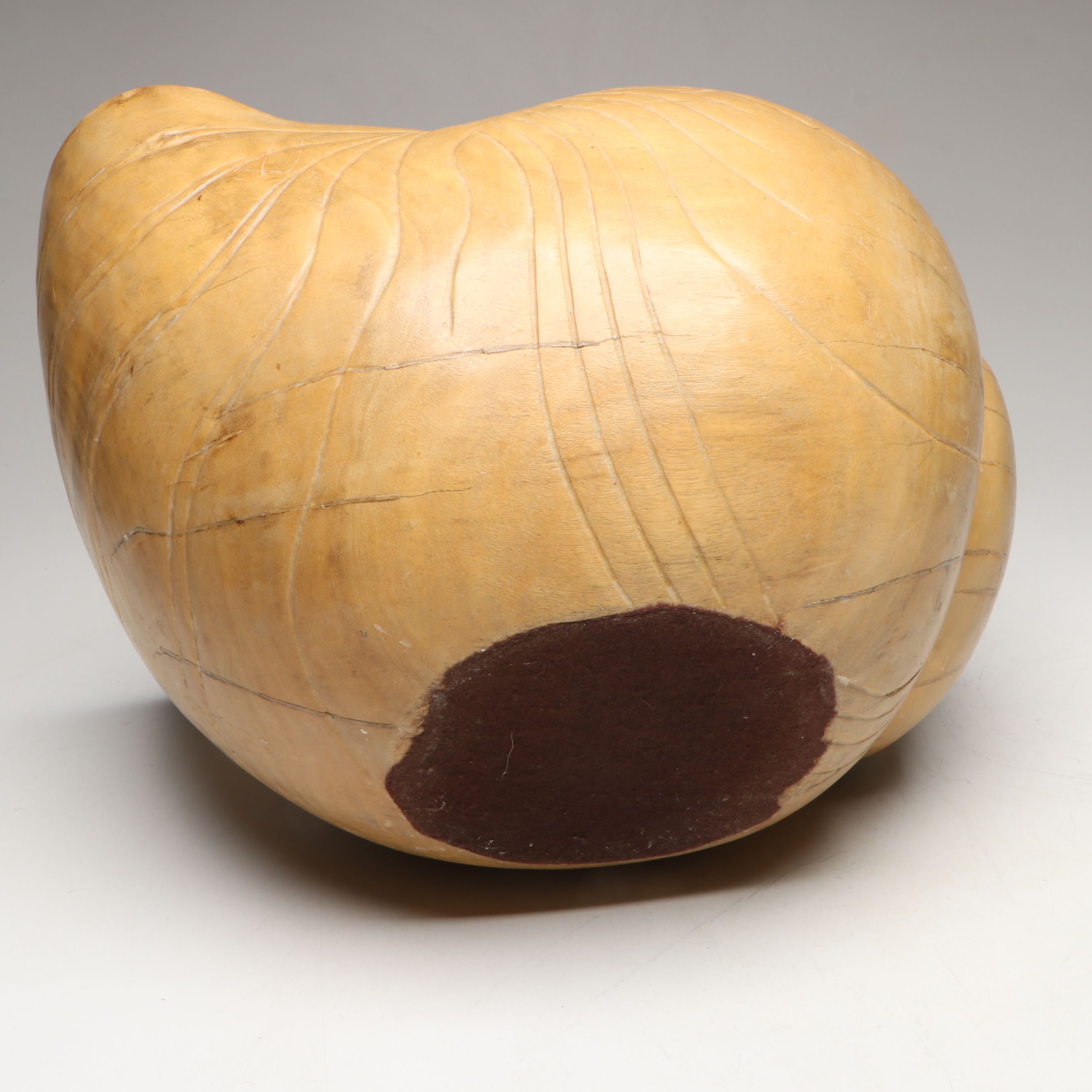 Carved Wooden Seashell Decorative Bowl