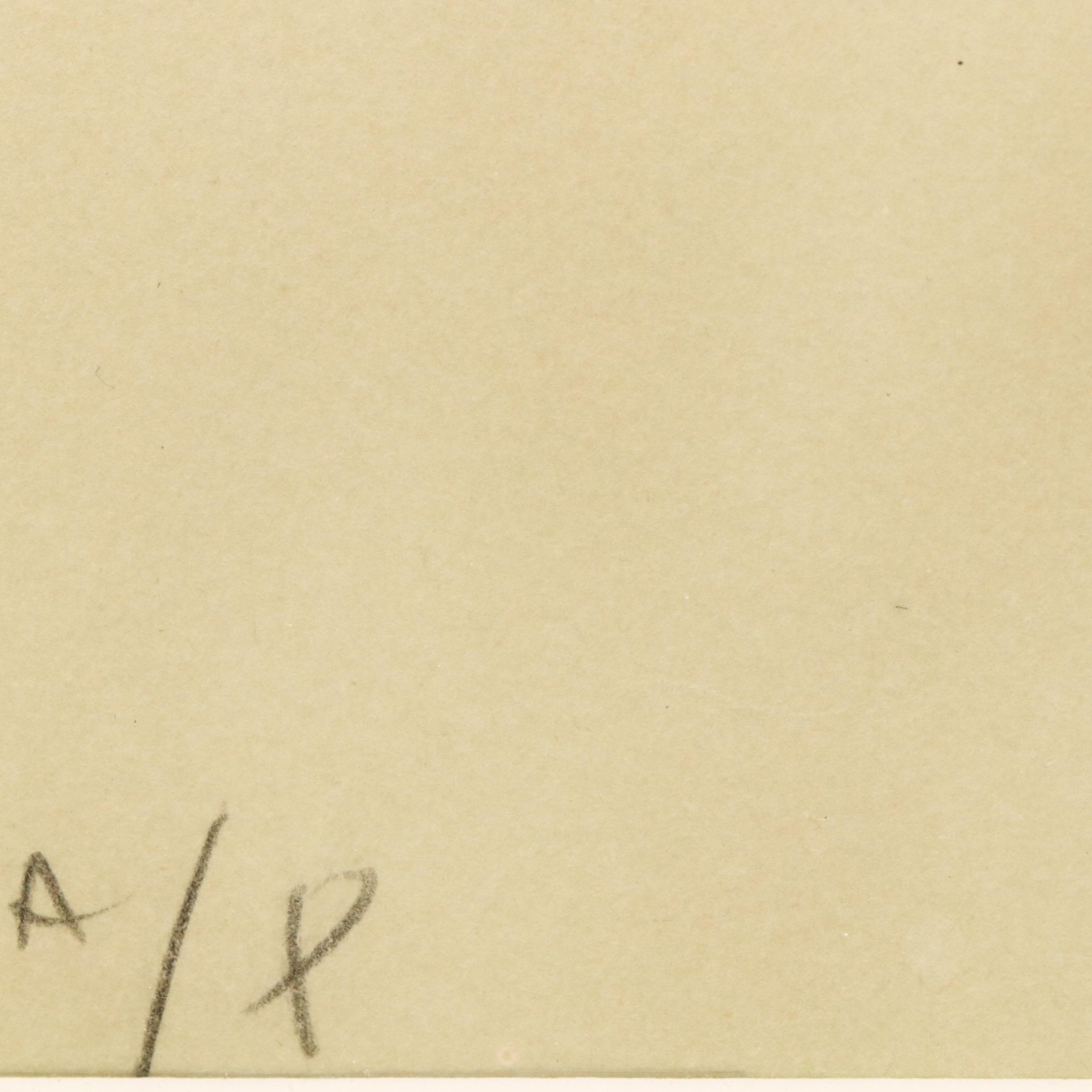 Peter Max Serigraph "Nude Descending," 1974–1975