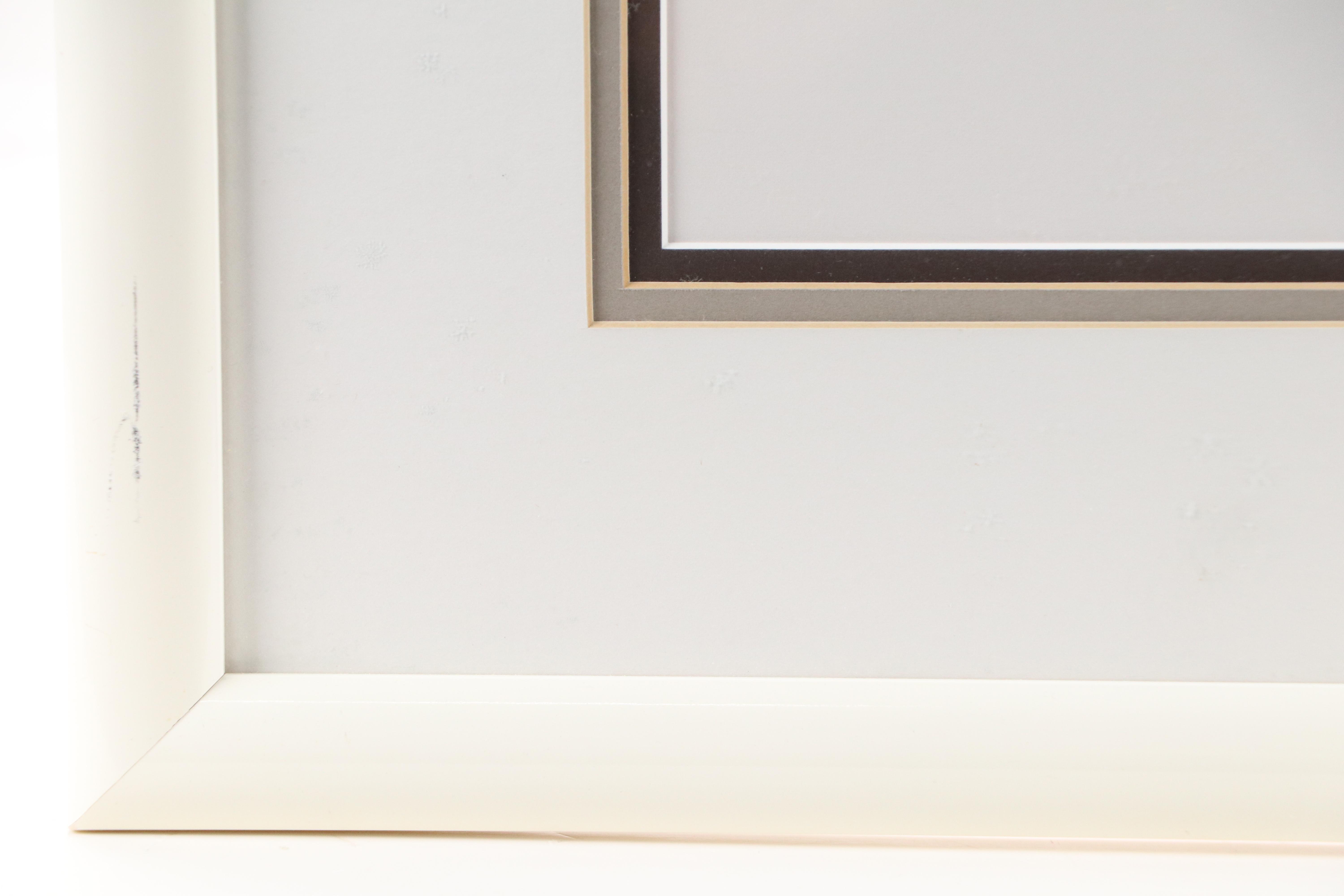 Disney "Lady and the Tramp" Sericel, 1955