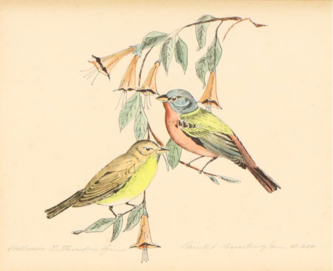 William E. Snowden, Jr. Colored Etching "Painted Buntings," 20th Century