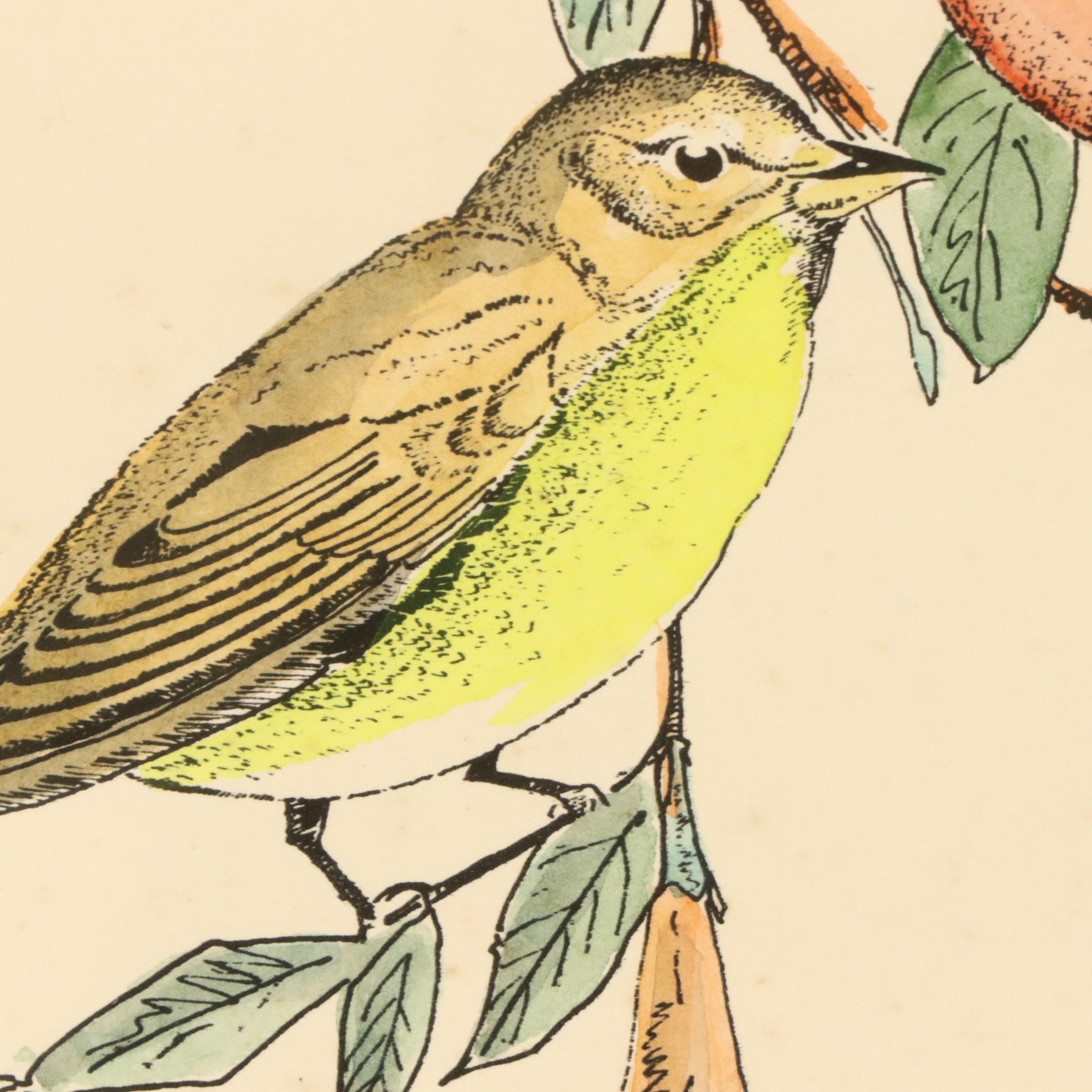 William E. Snowden, Jr. Colored Etching "Painted Buntings," 20th Century