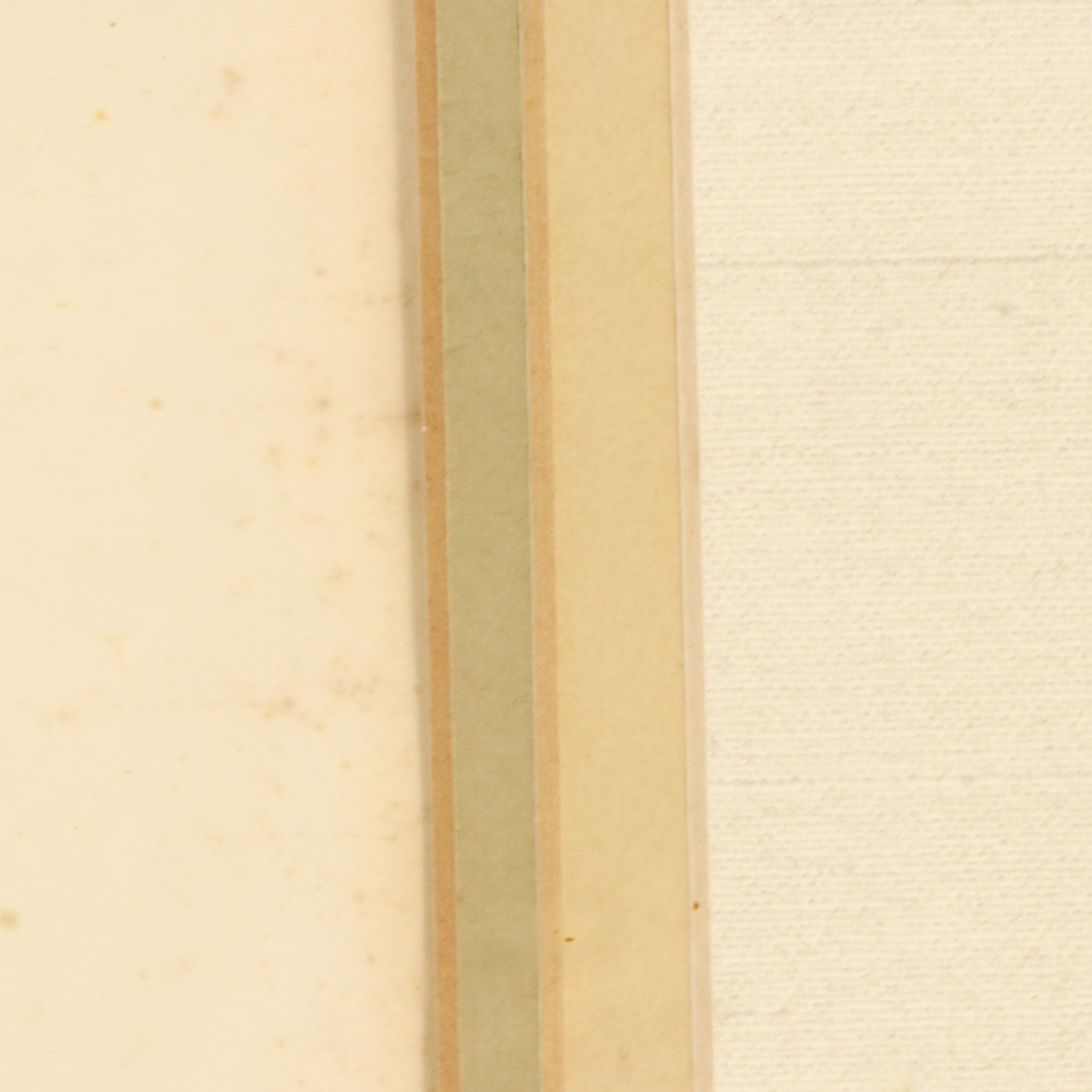 William E. Snowden, Jr. Colored Etching "Painted Buntings," 20th Century