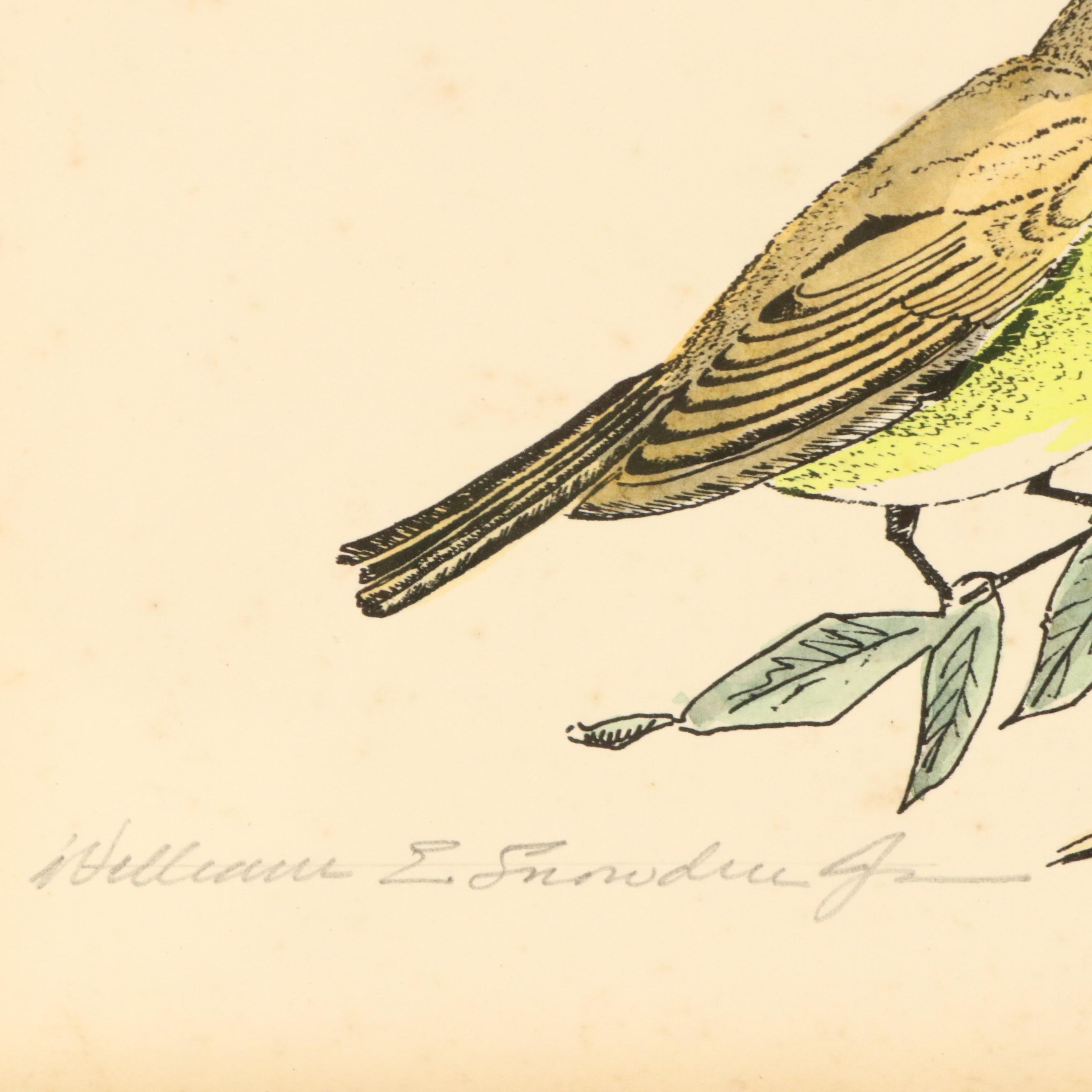 William E. Snowden, Jr. Colored Etching "Painted Buntings," 20th Century