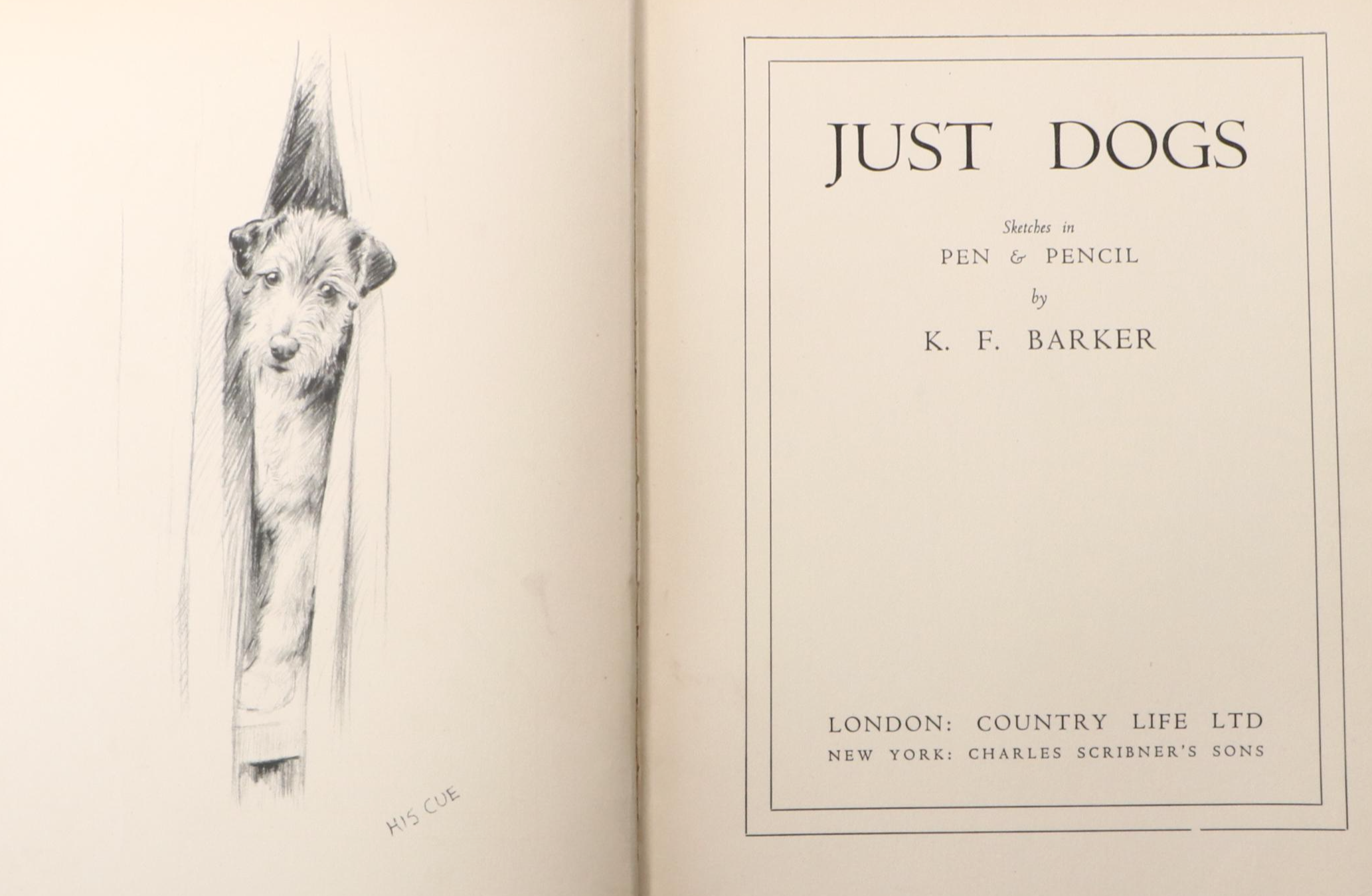 Illustrated "The Dog Book" by Diana Thorne and Albert P. Terhune and More