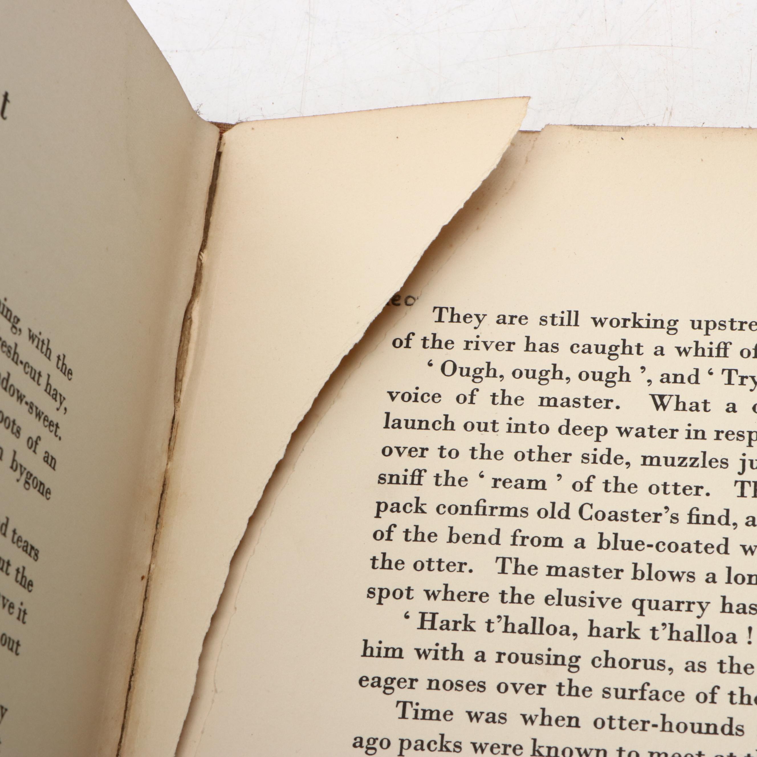 Illustrated "The Dog Book" by Diana Thorne and Albert P. Terhune and More