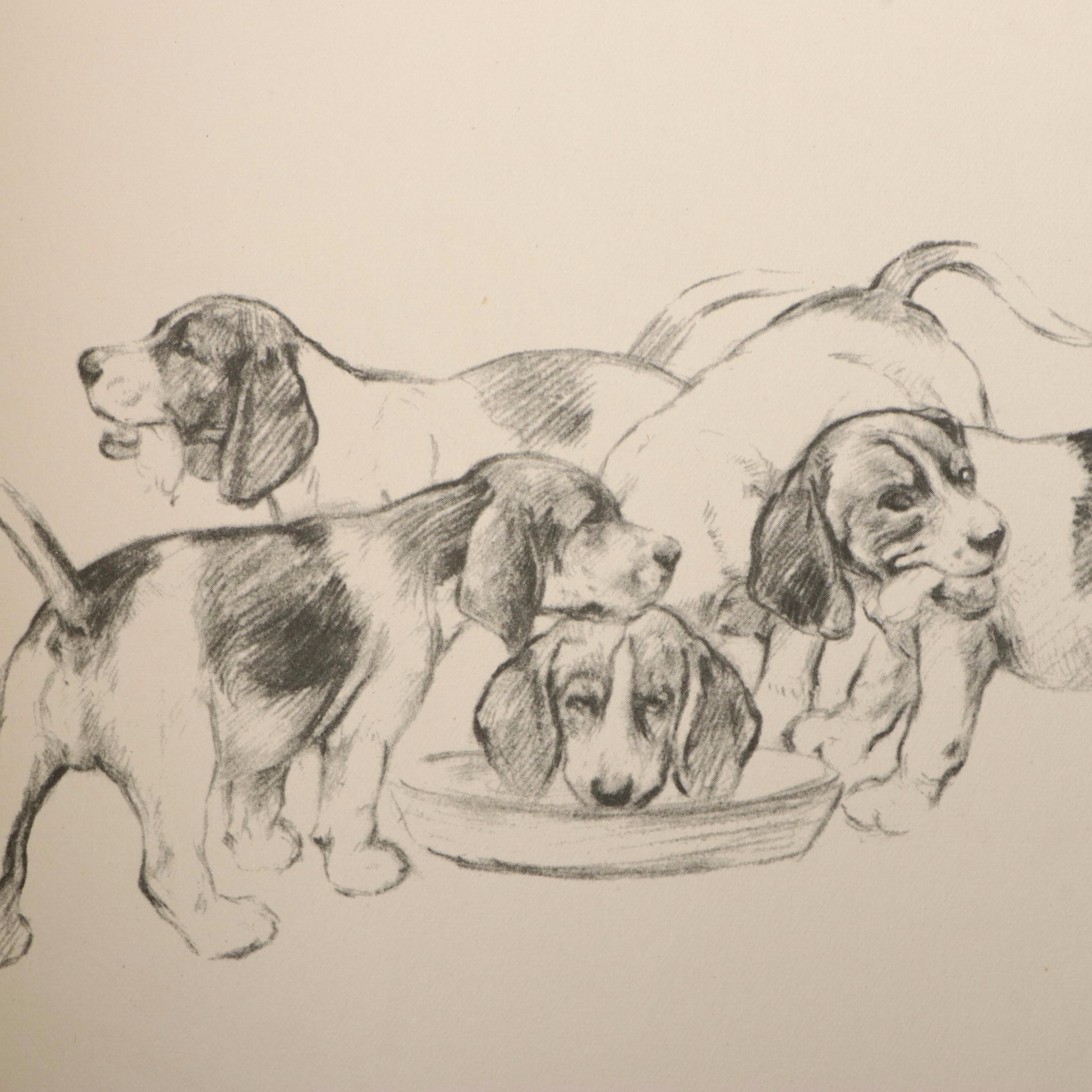 Illustrated "The Dog Book" by Diana Thorne and Albert P. Terhune and More
