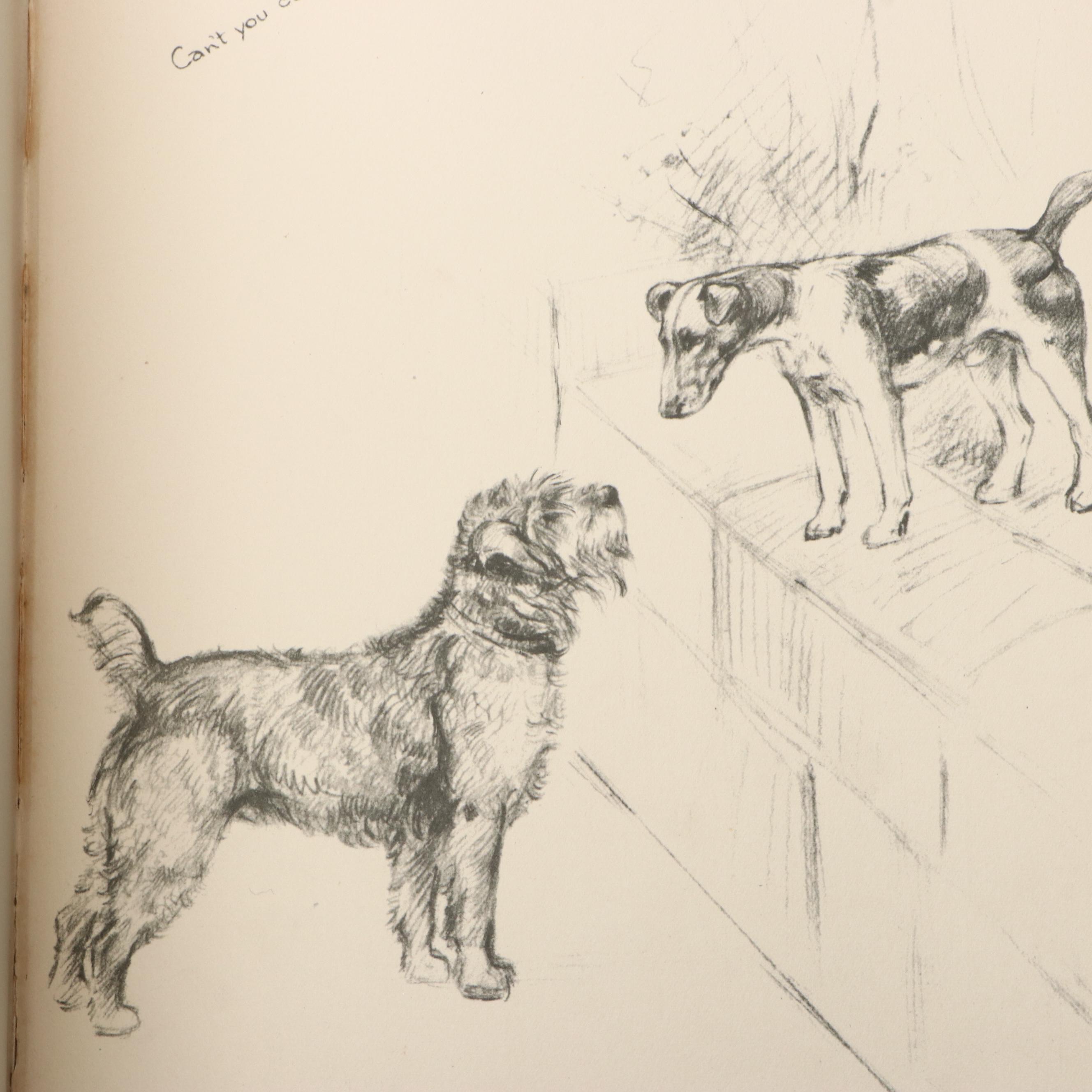 Illustrated "The Dog Book" by Diana Thorne and Albert P. Terhune and More