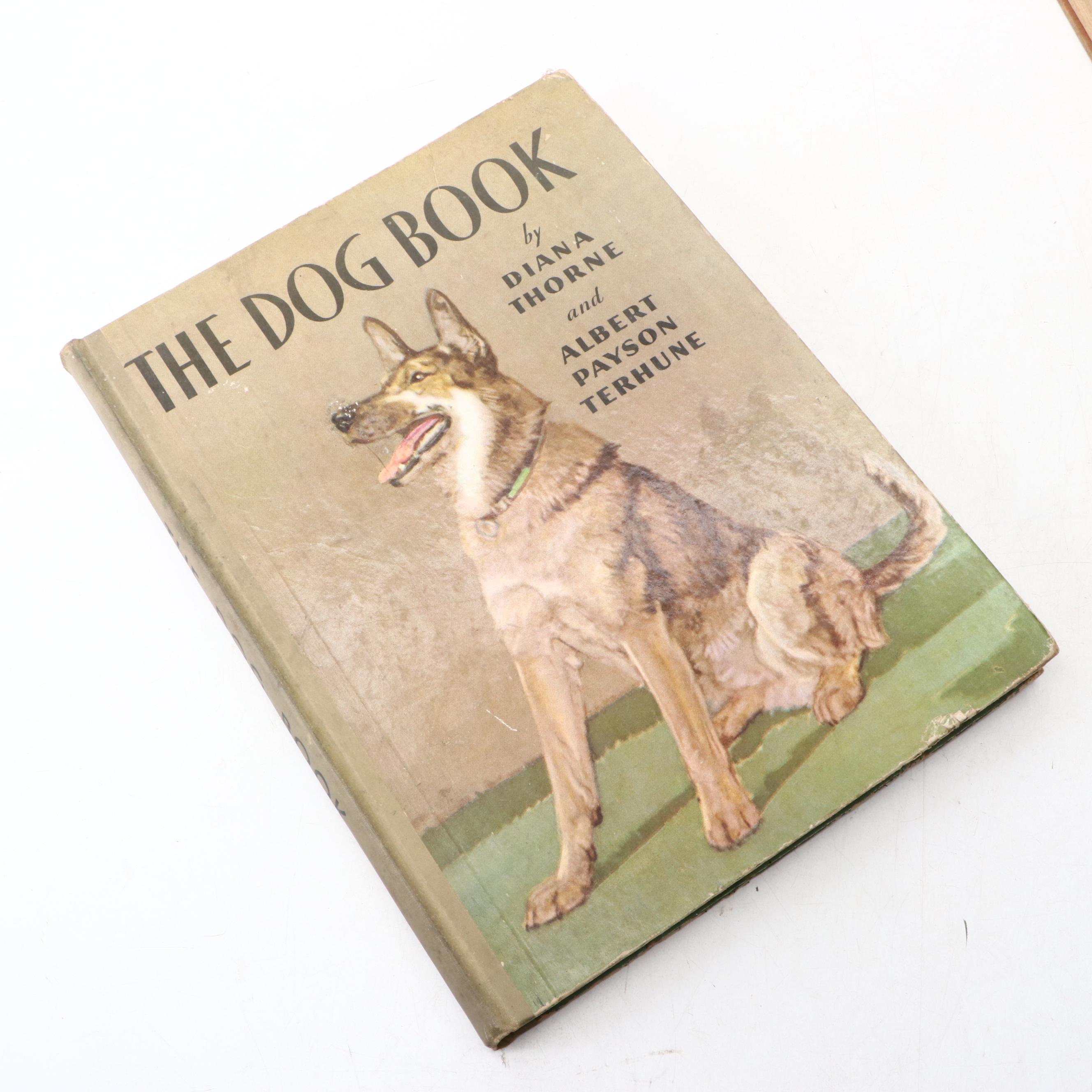 Illustrated "The Dog Book" by Diana Thorne and Albert P. Terhune and More