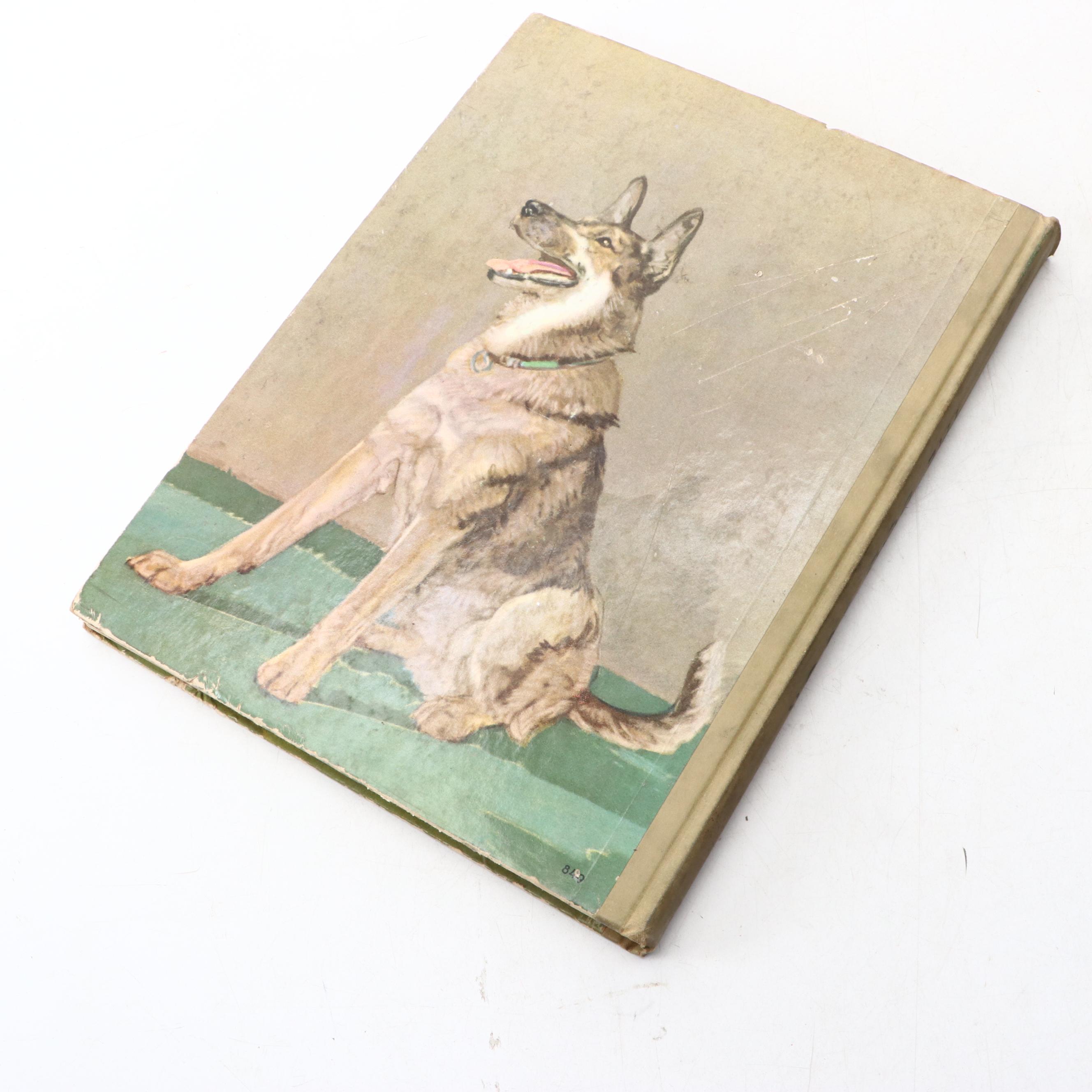 Illustrated "The Dog Book" by Diana Thorne and Albert P. Terhune and More