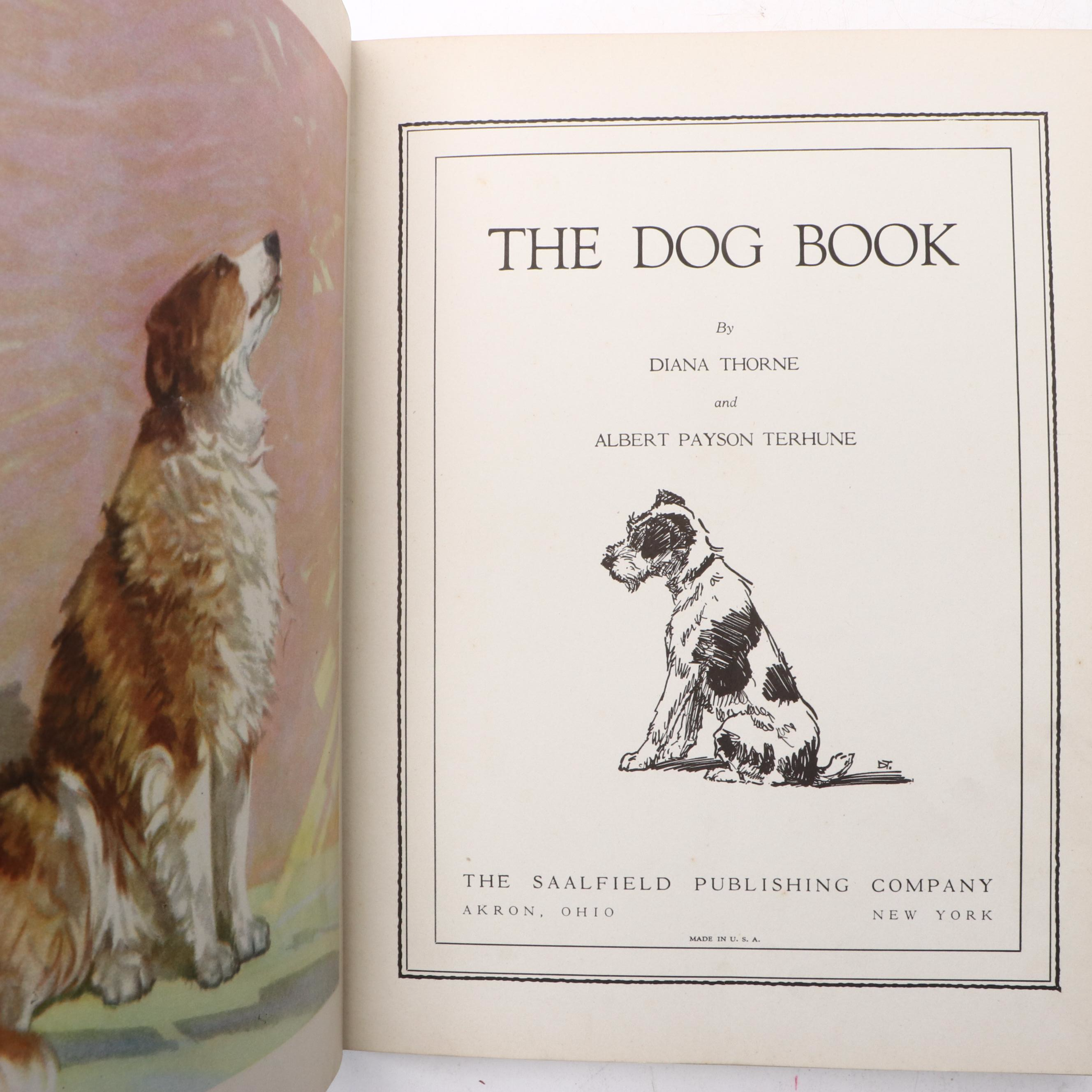 Illustrated "The Dog Book" by Diana Thorne and Albert P. Terhune and More