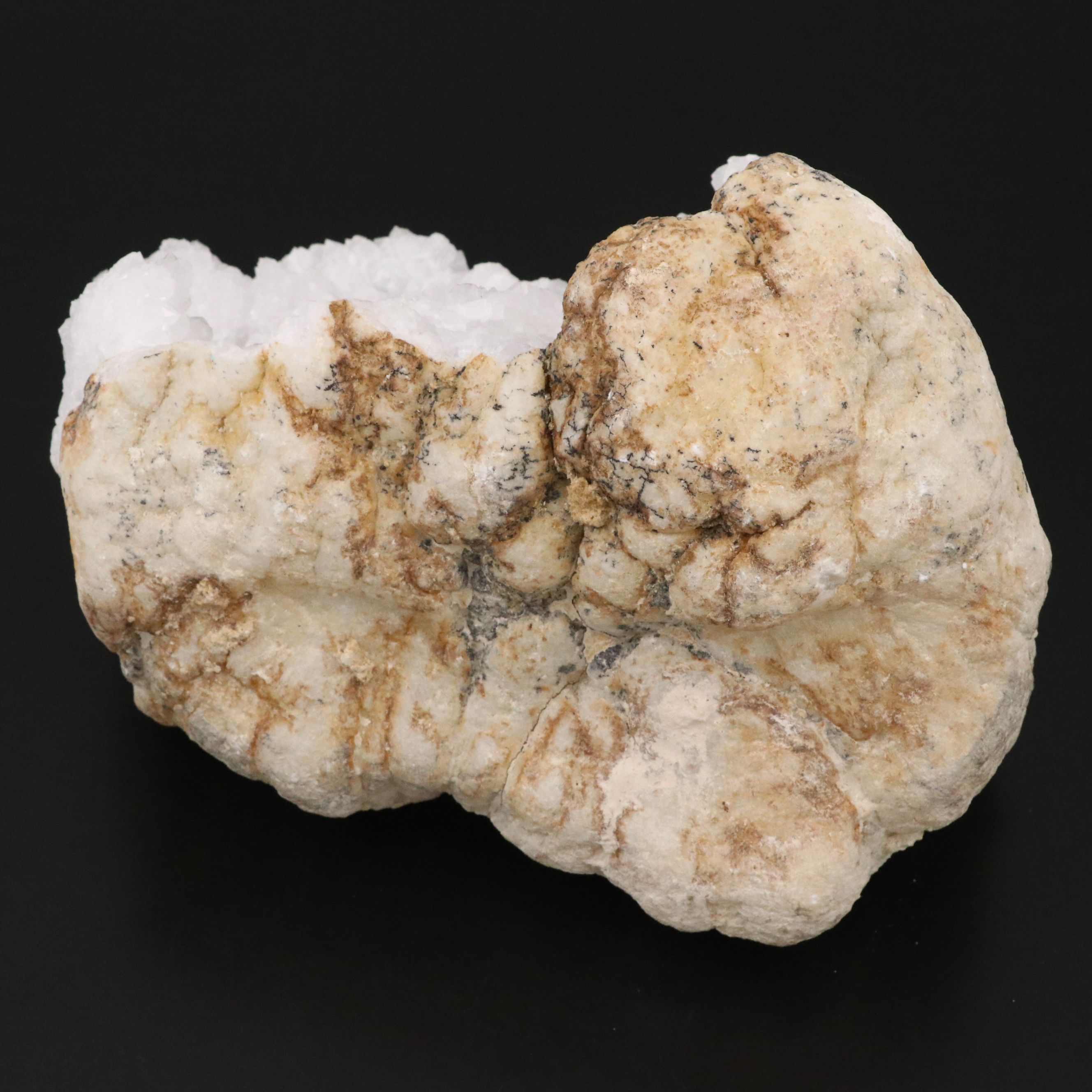 White Quartz Crystal Geode Specimen with Fragments