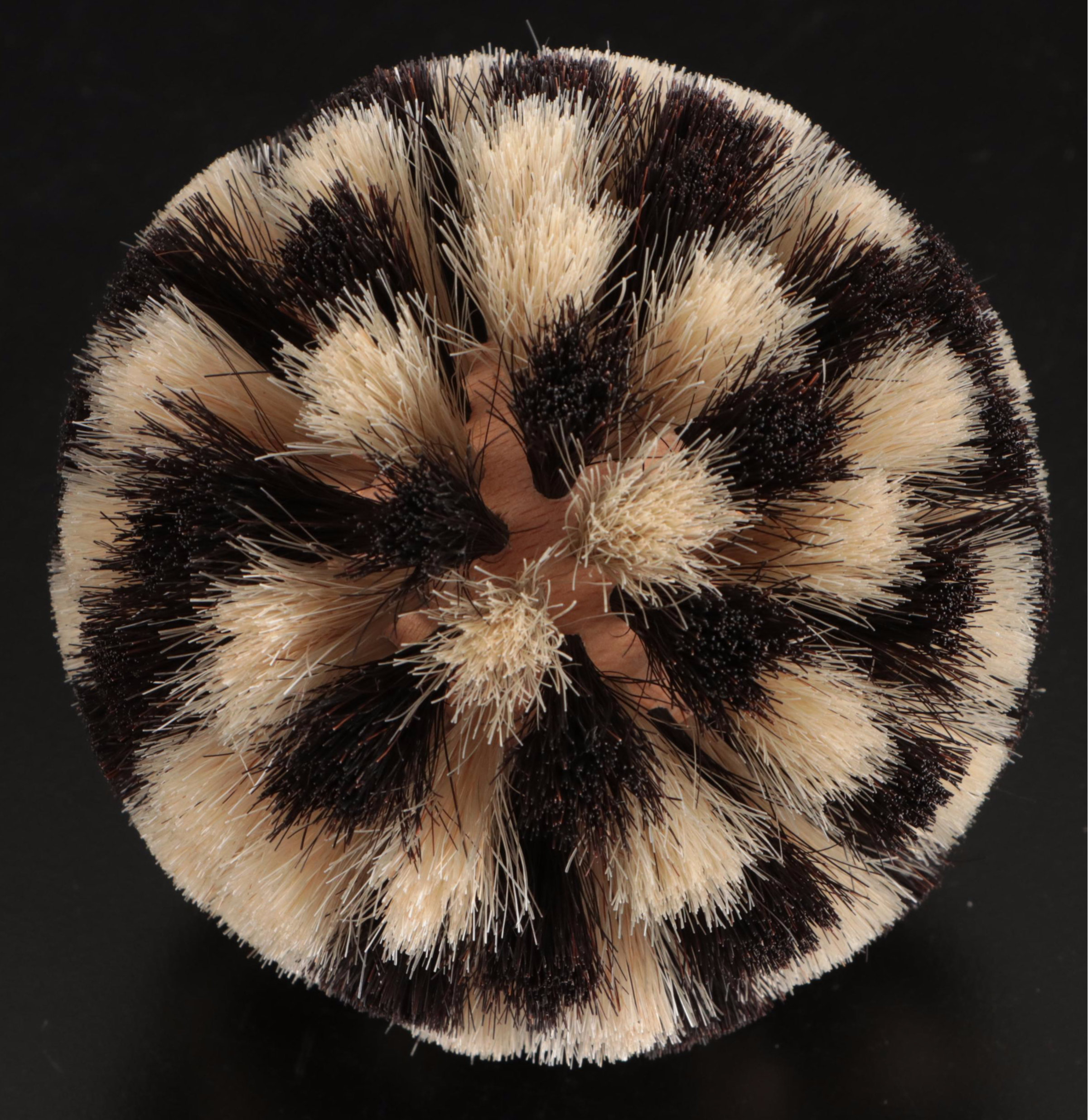 Brush Collection in Display Dome