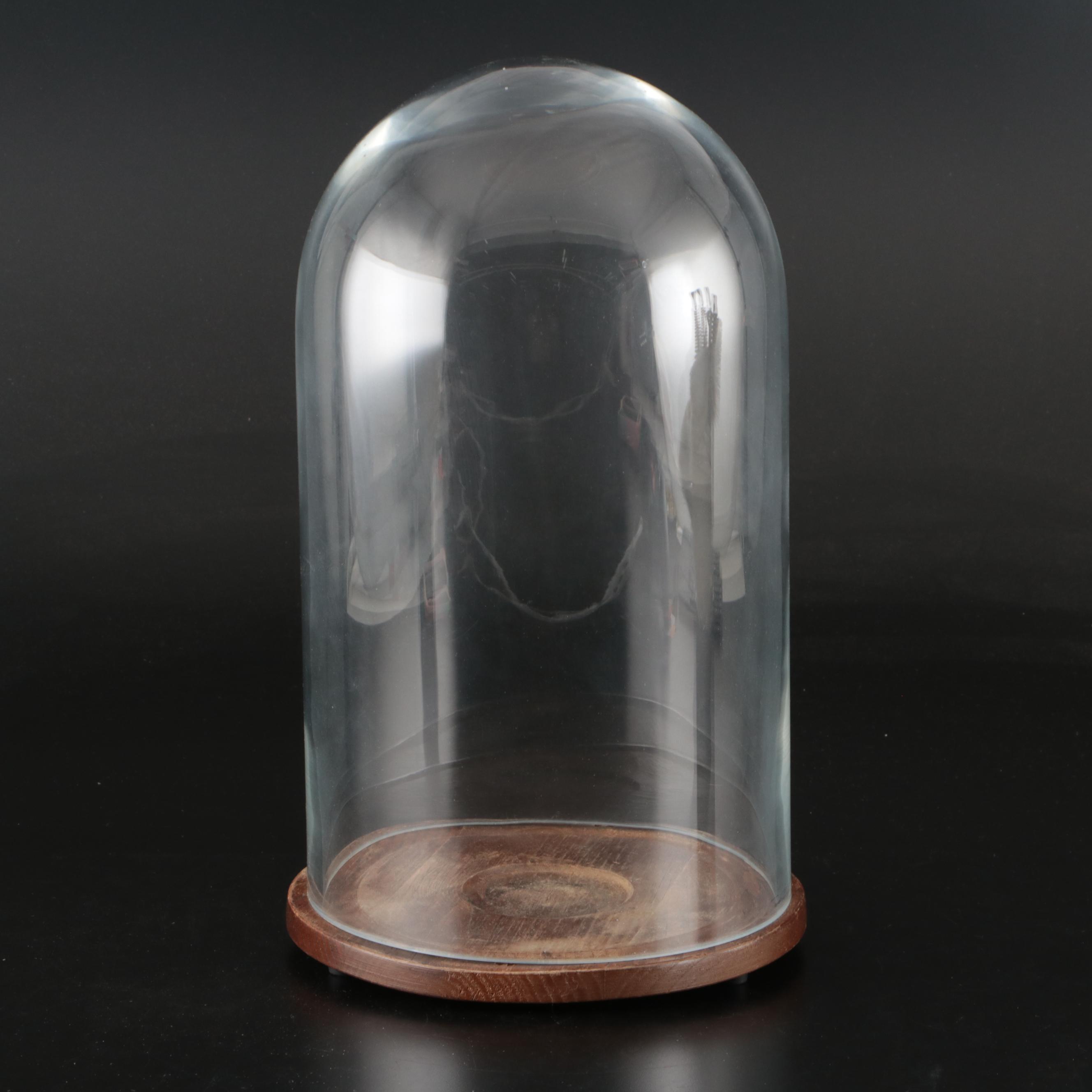 Brush Collection in Display Dome