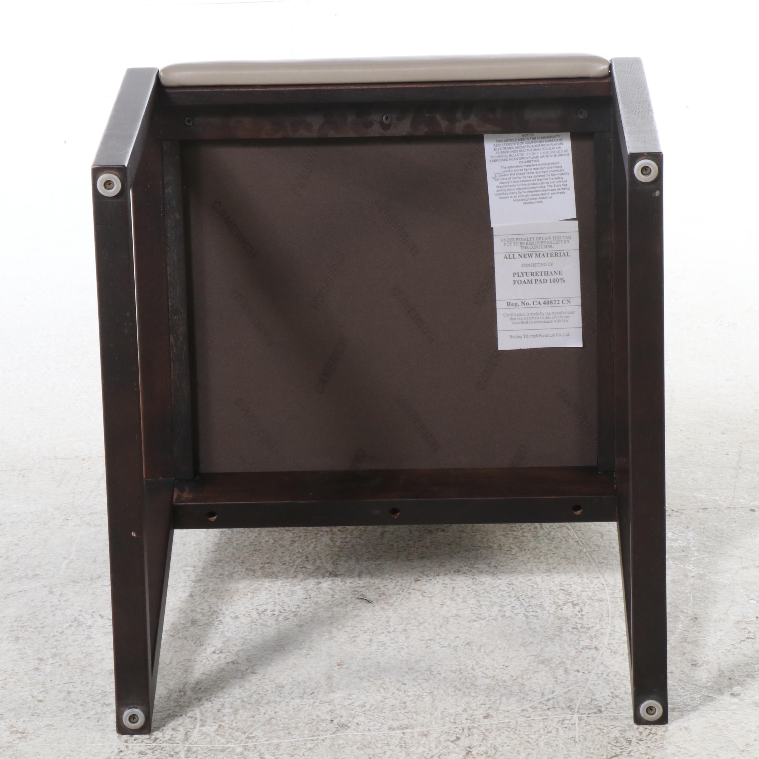 Contemporary Modernist Style Side Chair