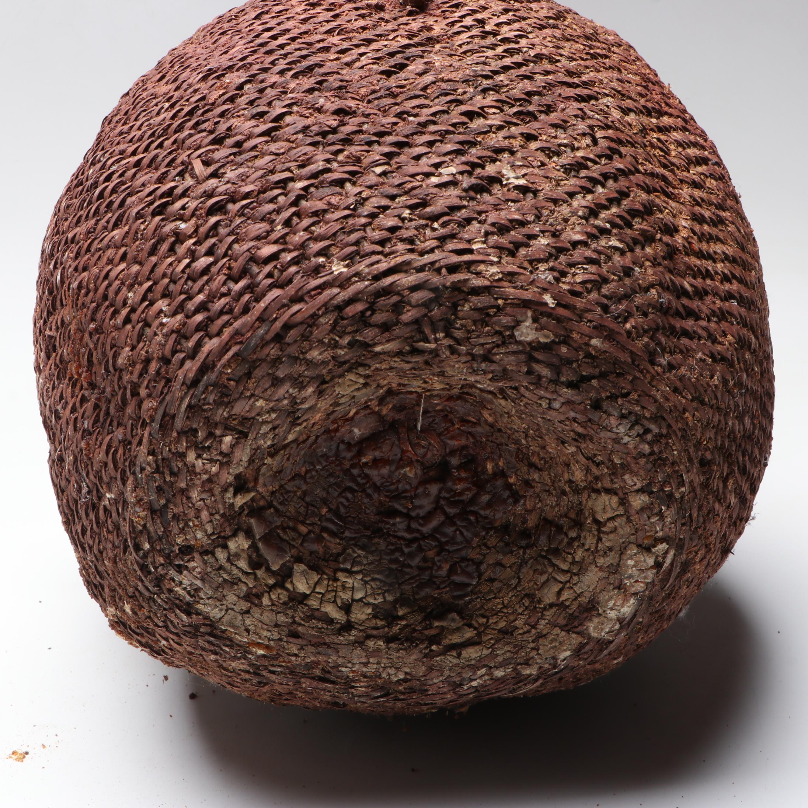 Southwestern Indigenous Hand-Woven "Tus" Twig Handled Water Basket