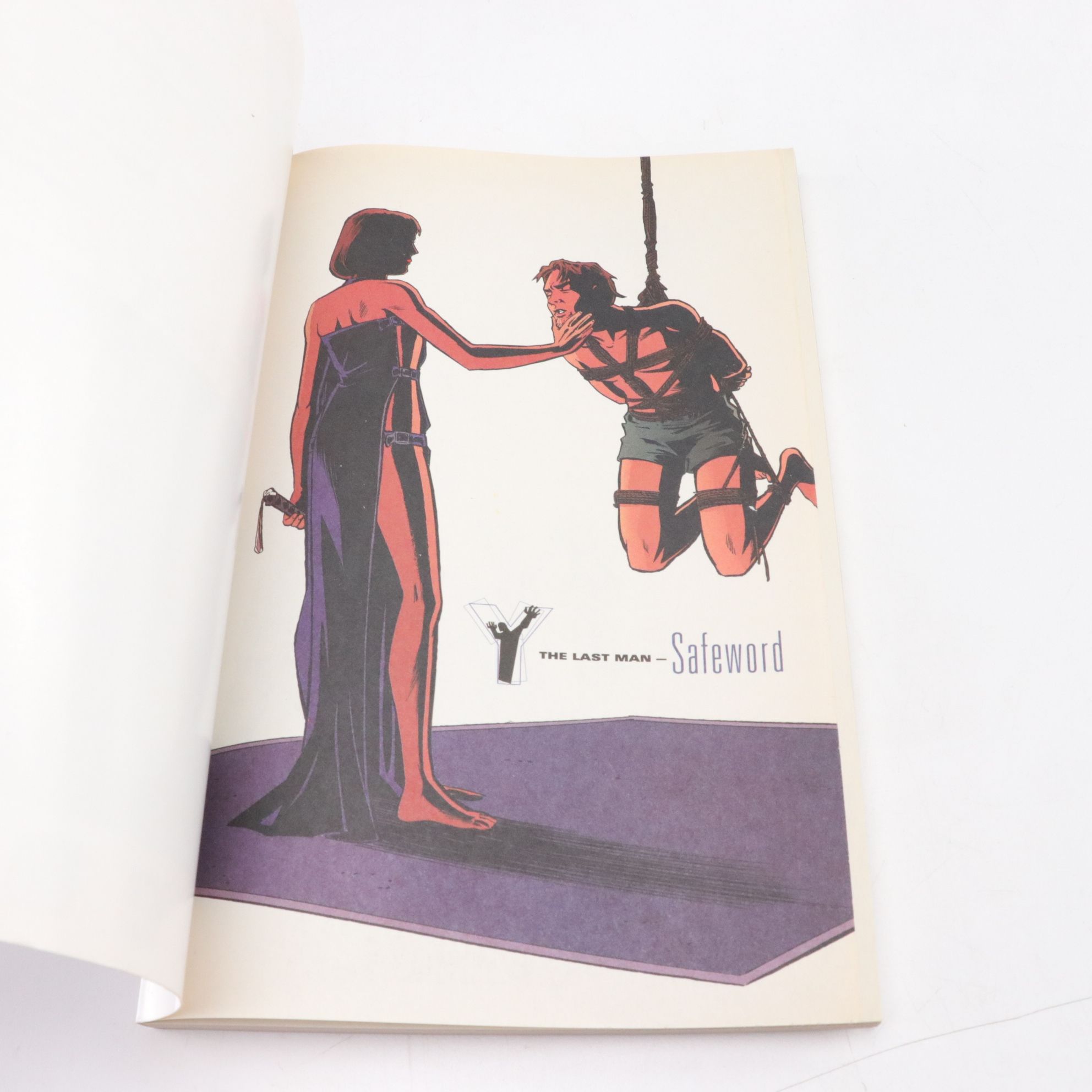 Brian K. Vaughan's "Y the Last Man" Complete Graphic Novel Series