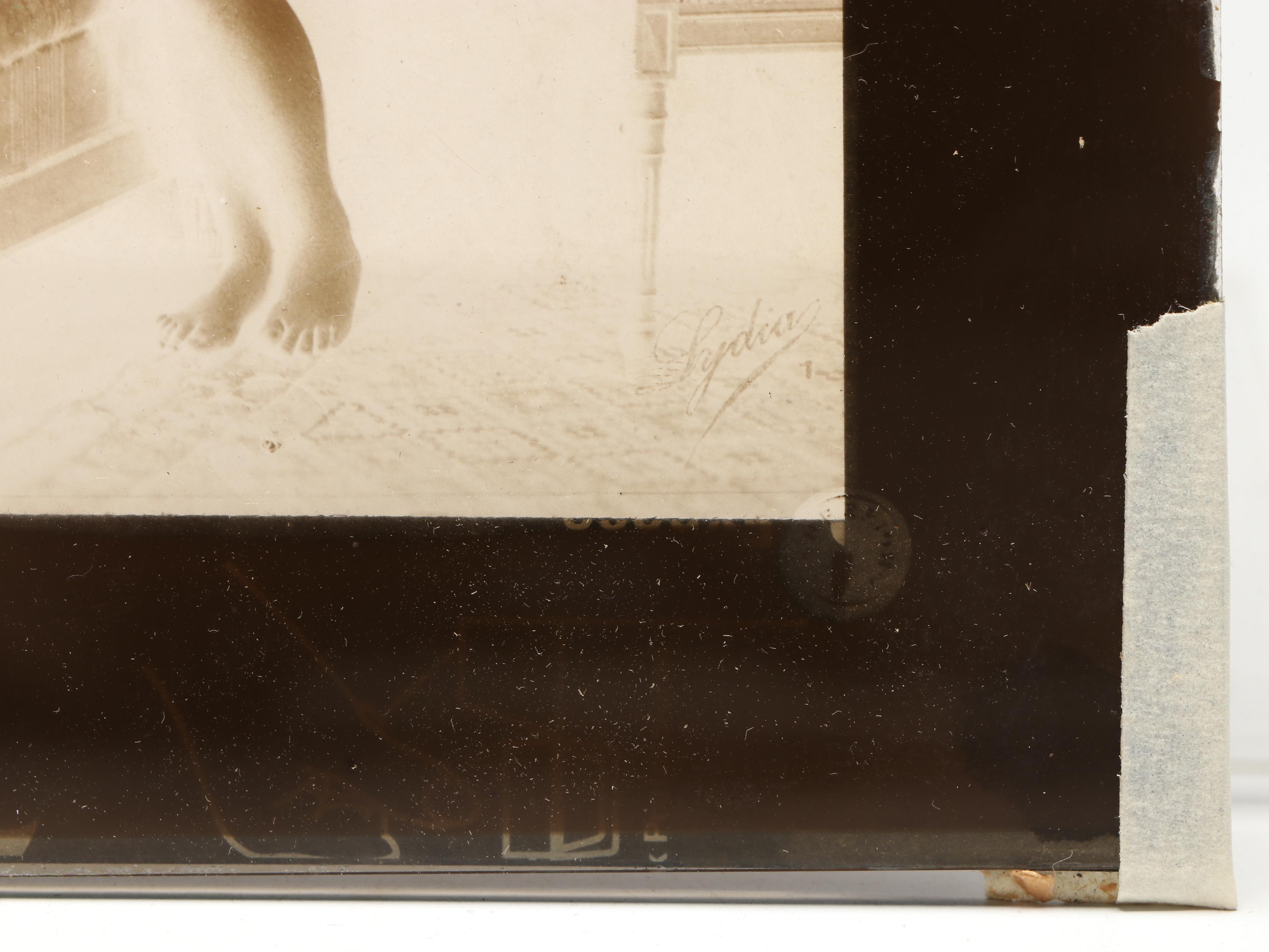 Glass Plate Negative of Nude Woman in Contrapposto, Late 19th to Early 20th C.