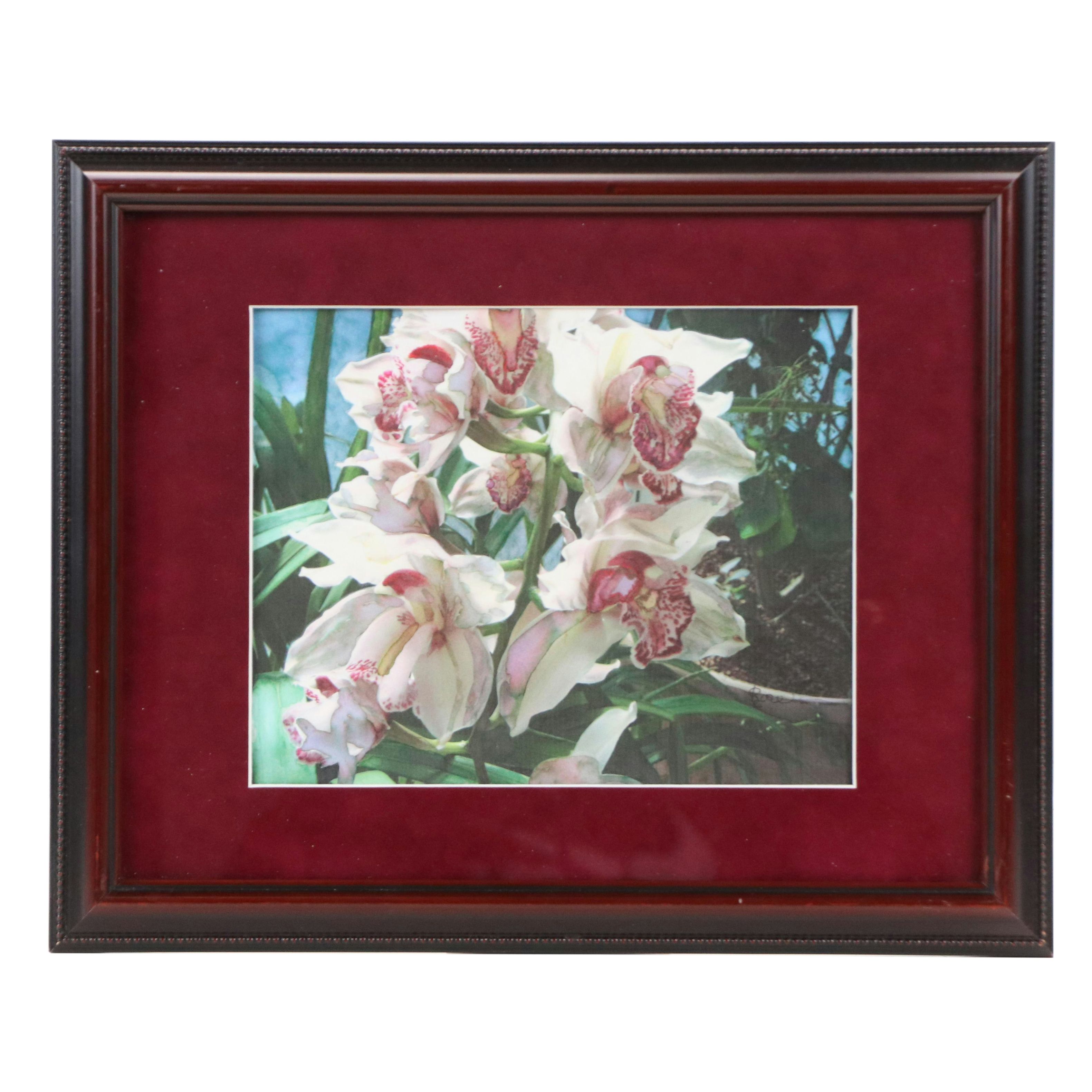 Floral Giclée of Cymbidium Orchids, 21st Century