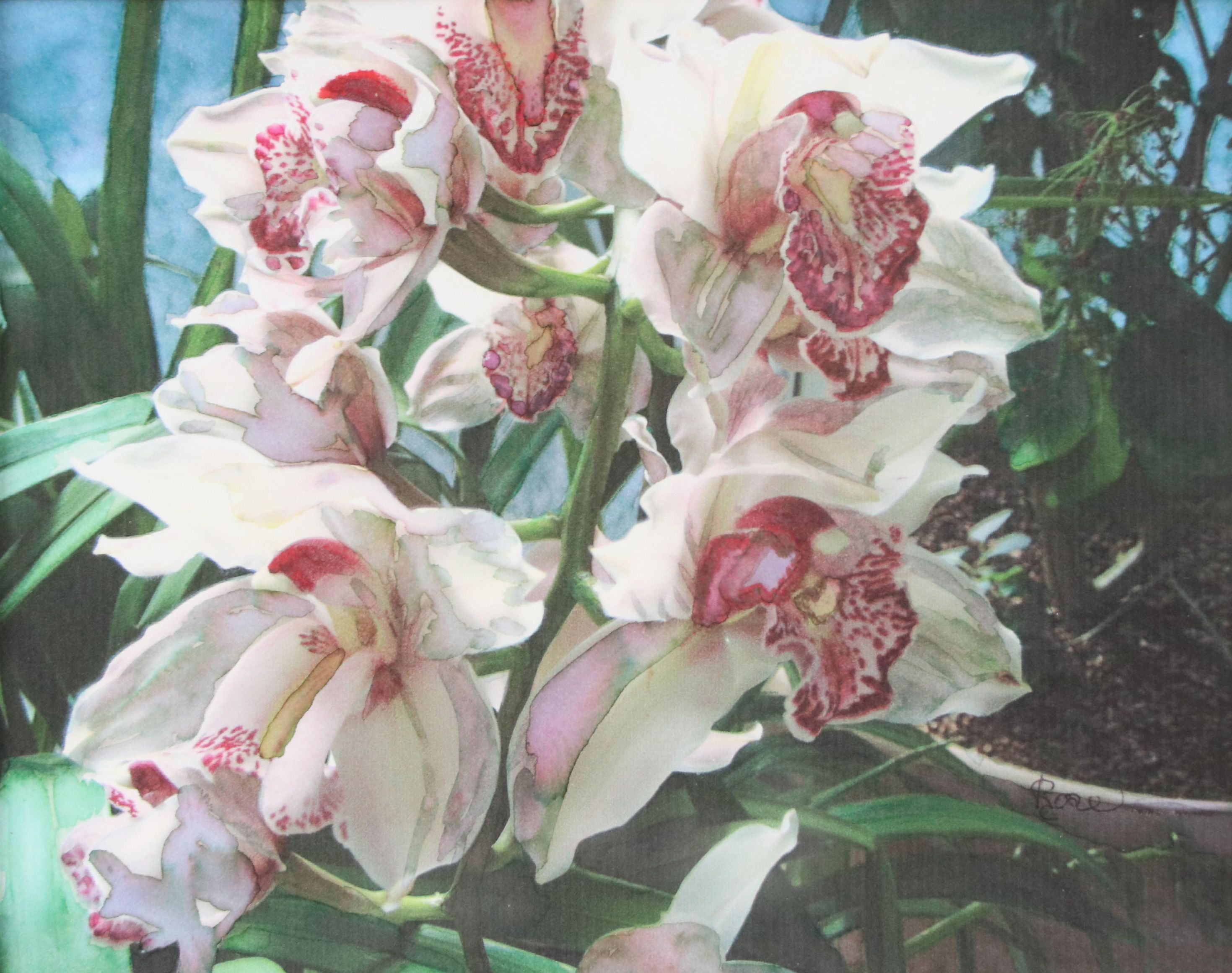 Floral Giclée of Cymbidium Orchids, 21st Century