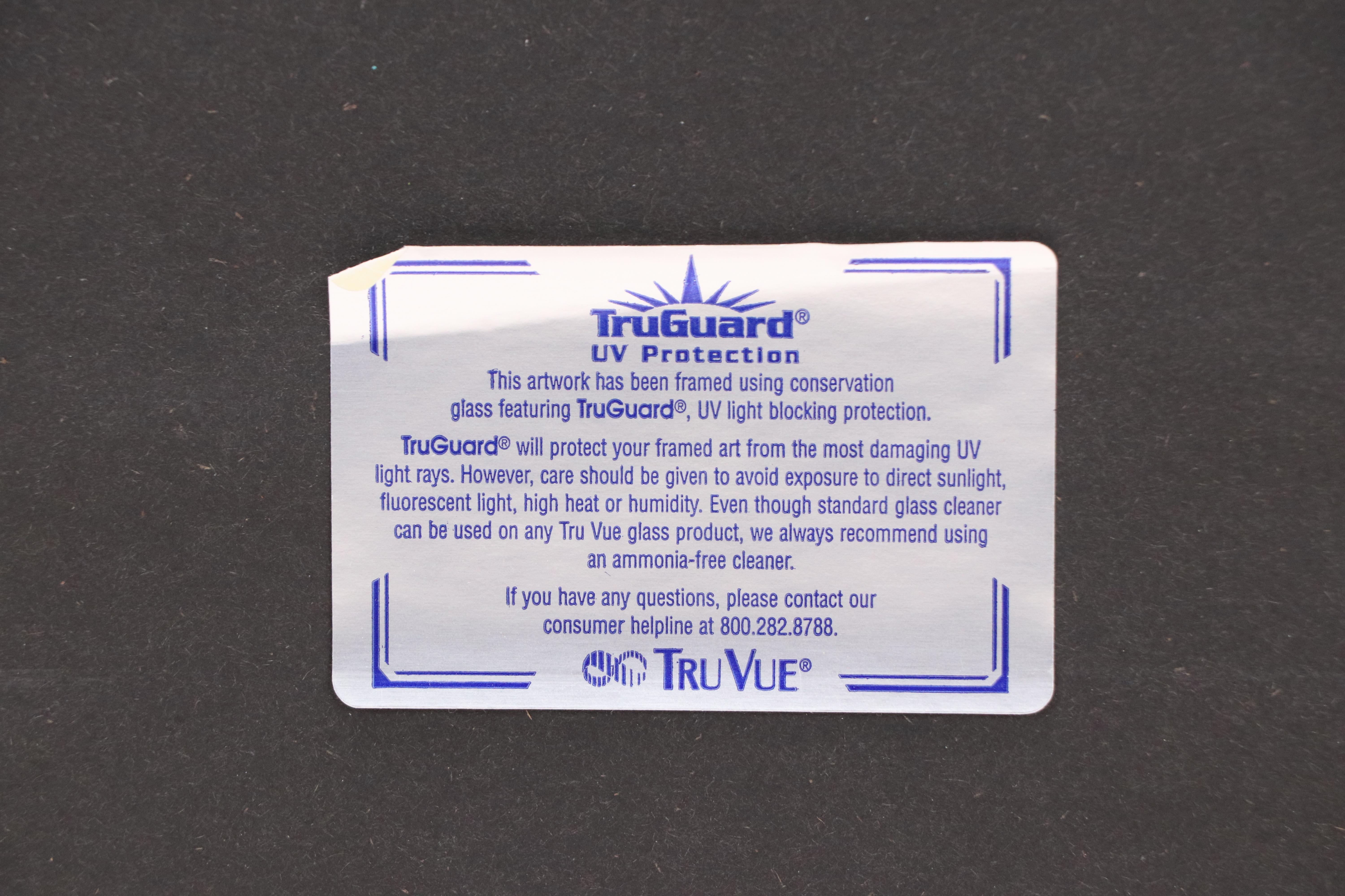 Ornithological Lithograph from John Gould's "The Birds of Great Britain," 19th C