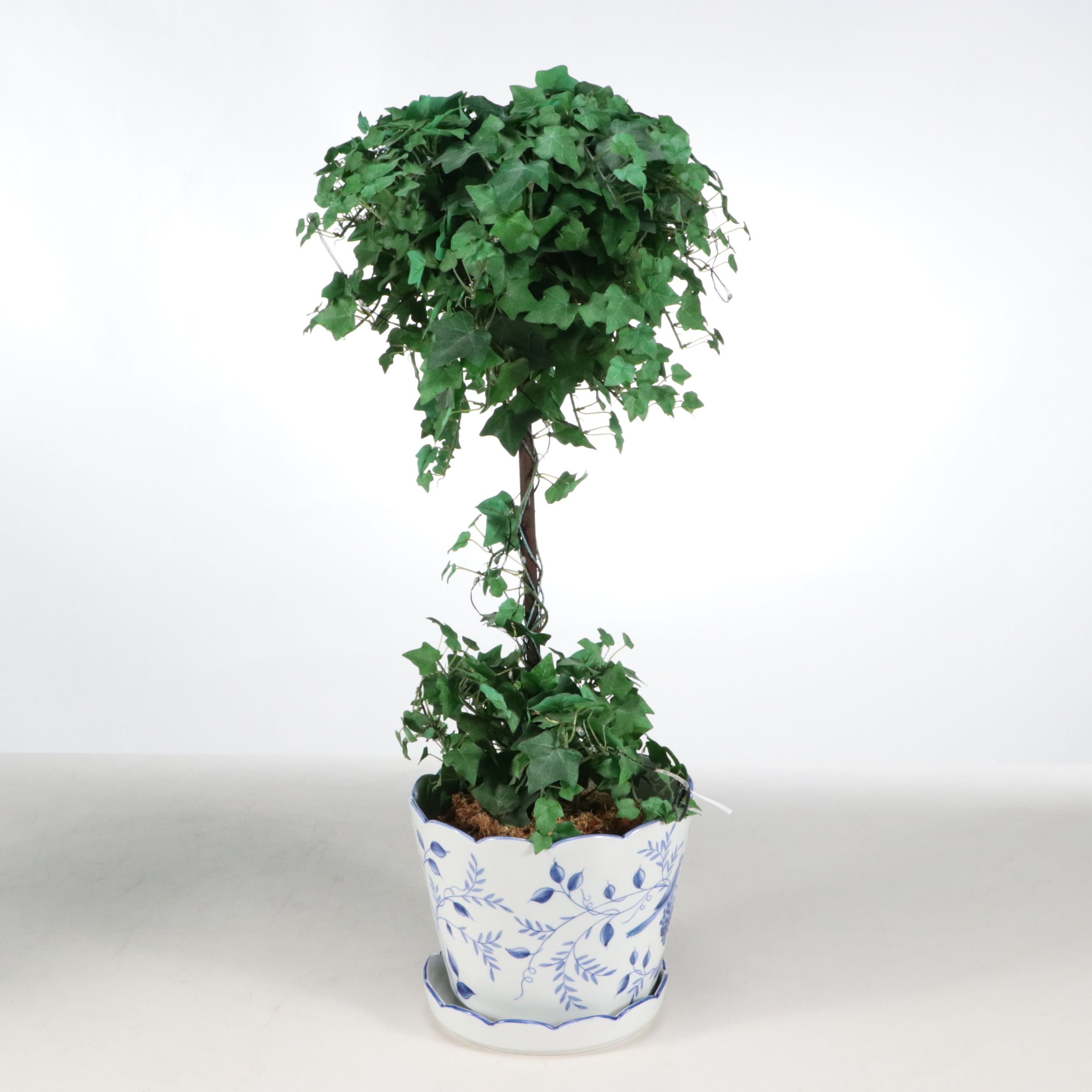 Pair of Artificial Ivy Topiaries in Andrea by Sadek Porcelain Planters