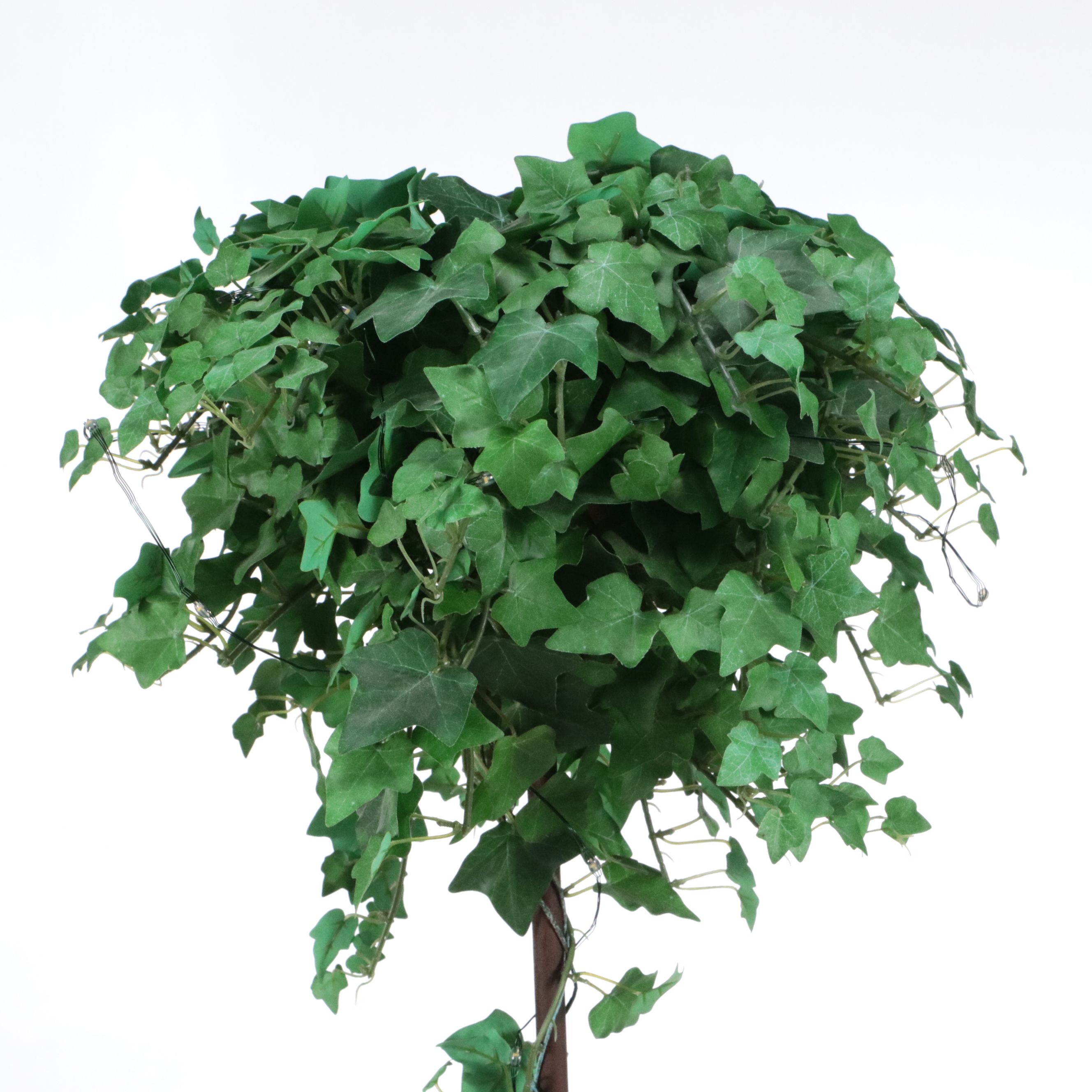 Pair of Artificial Ivy Topiaries in Andrea by Sadek Porcelain Planters