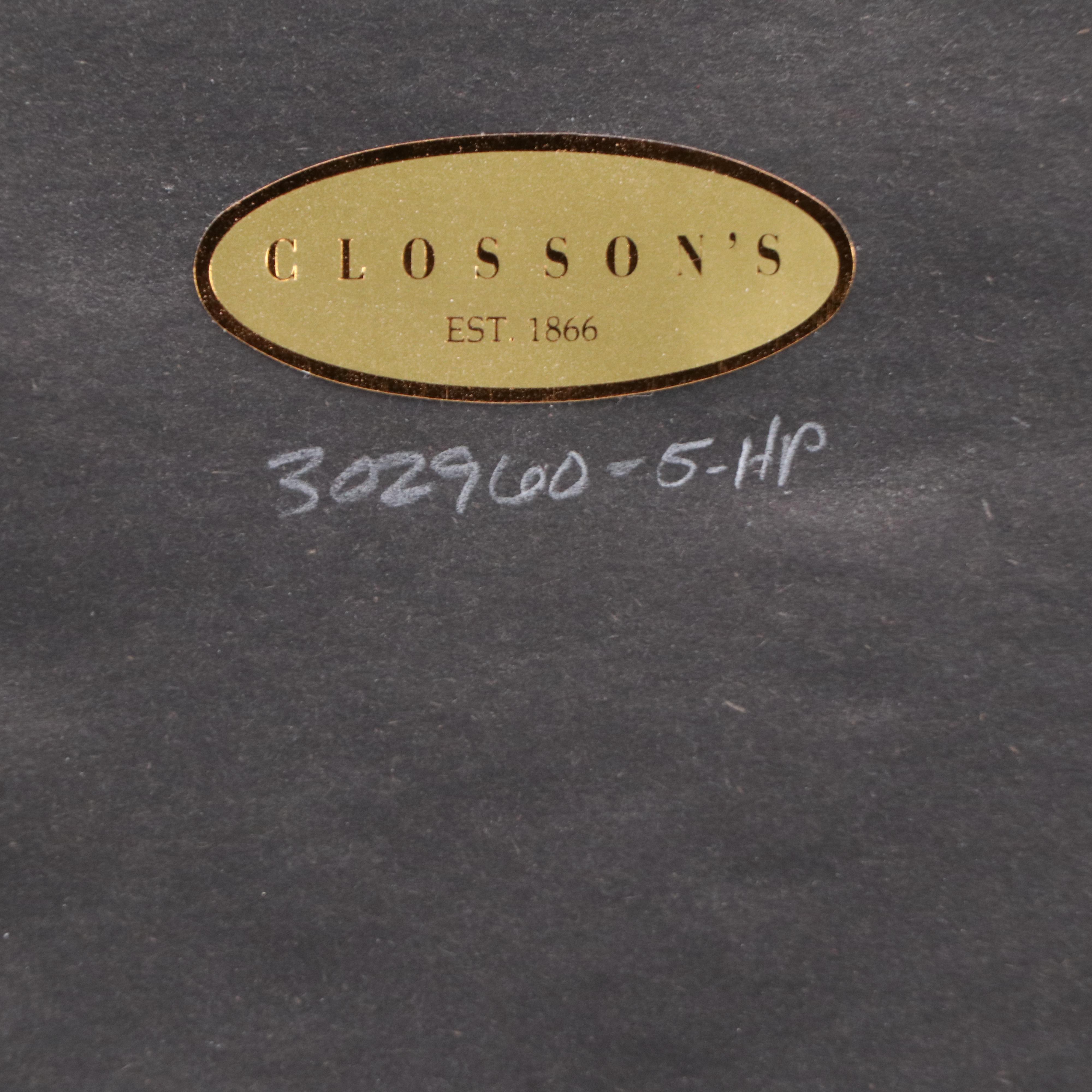 Ornithological Lithograph from John Gould's "The Birds of Great Britain," 19th C