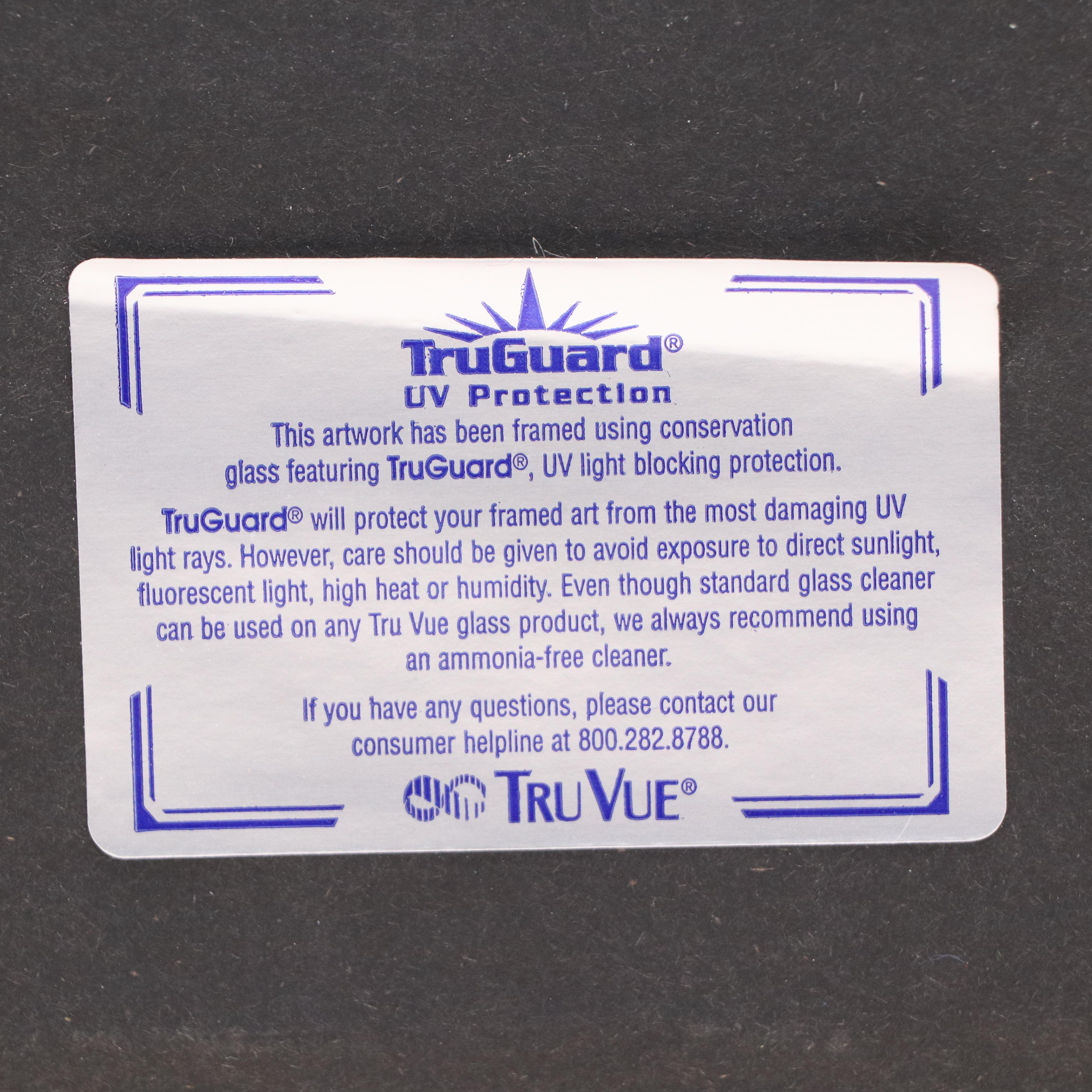 Ornithological Lithograph from John Gould's "The Birds of Great Britain," 19th C