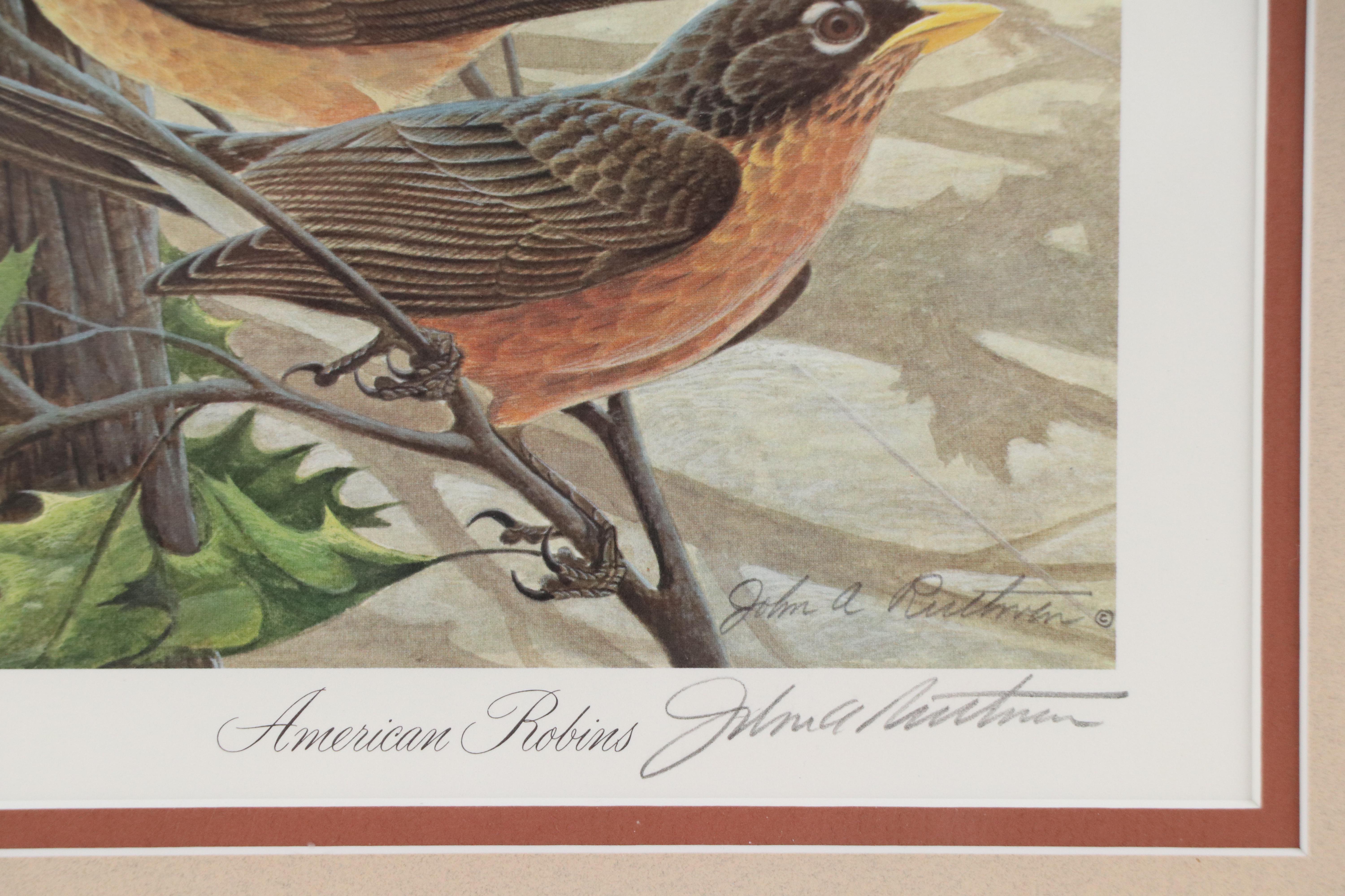 John A. Ruthven Offset Lithograph "American Robins," Late 20th Century