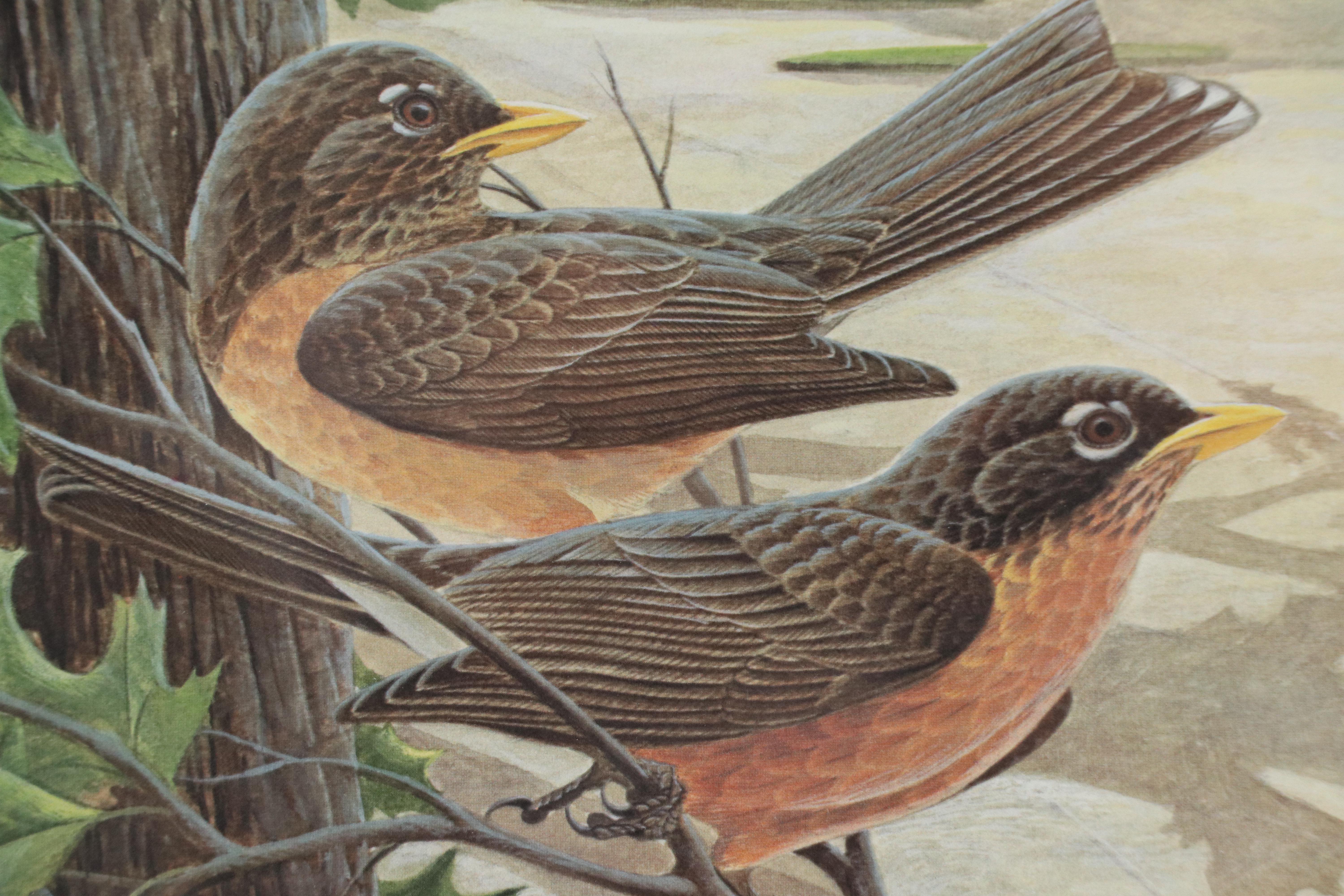 John A. Ruthven Offset Lithograph "American Robins," Late 20th Century